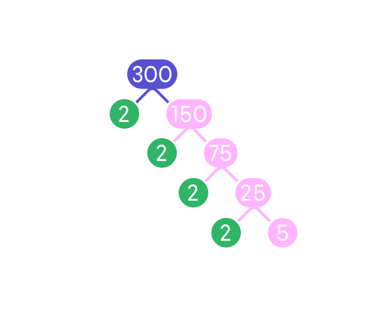 Express 300 as a product of its prime factors