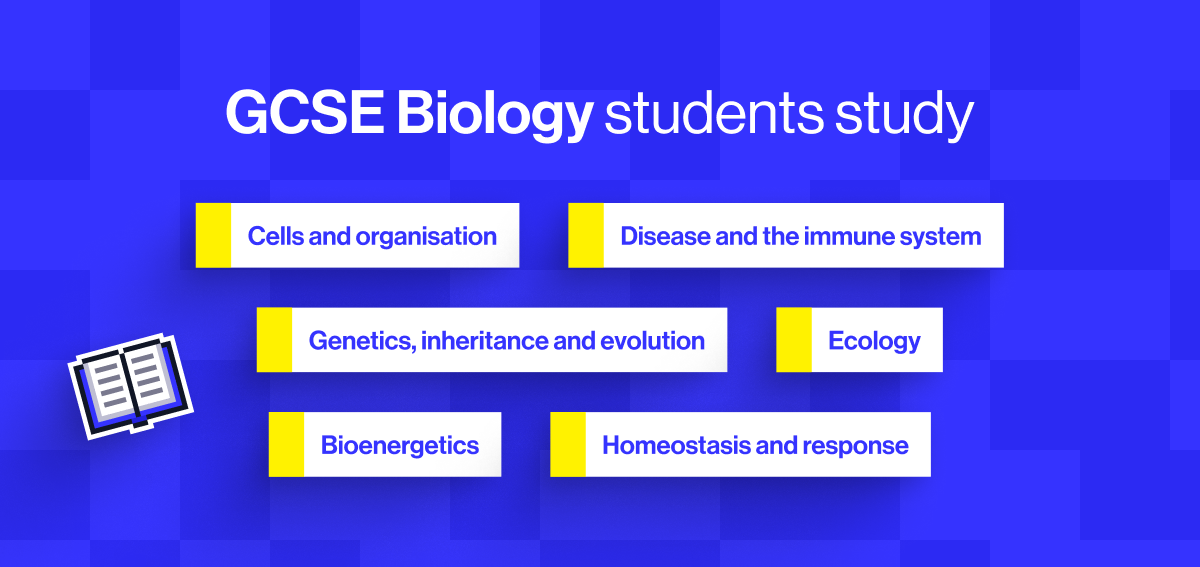 What&rsquo;s the difference between GCSE Biology and Key Stage 3?
