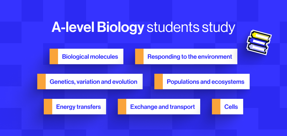 A-level Biology covers many of the same broad themes studied at GCSE, but in far greater depth and with far higher expectations.