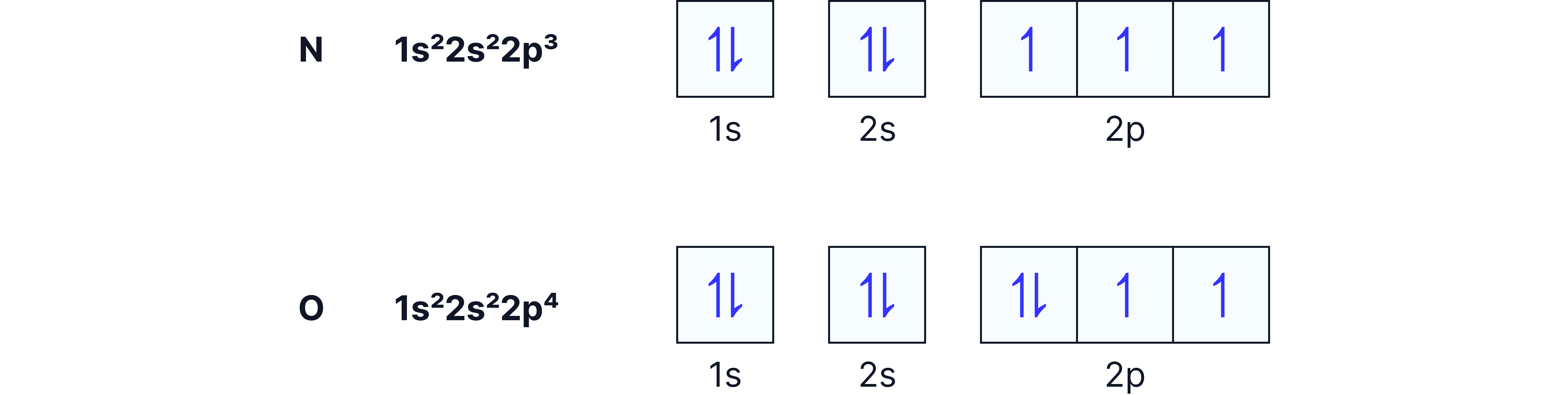 Orbital box diagrams for nitrogen and oxygen showing electron configurations and how electrons fill the 2p orbitals according to Hund’s rule.