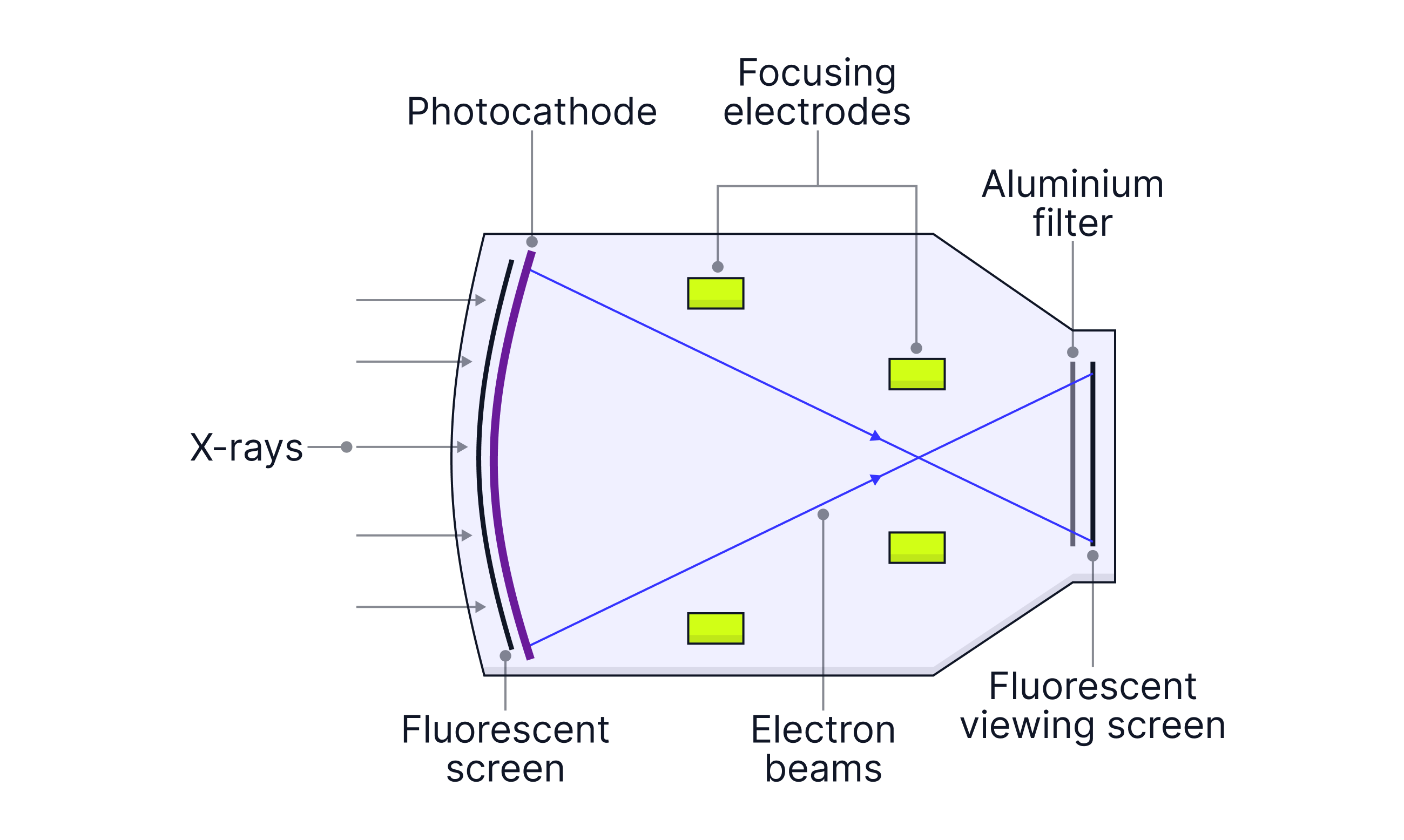 L4 S2 (3)