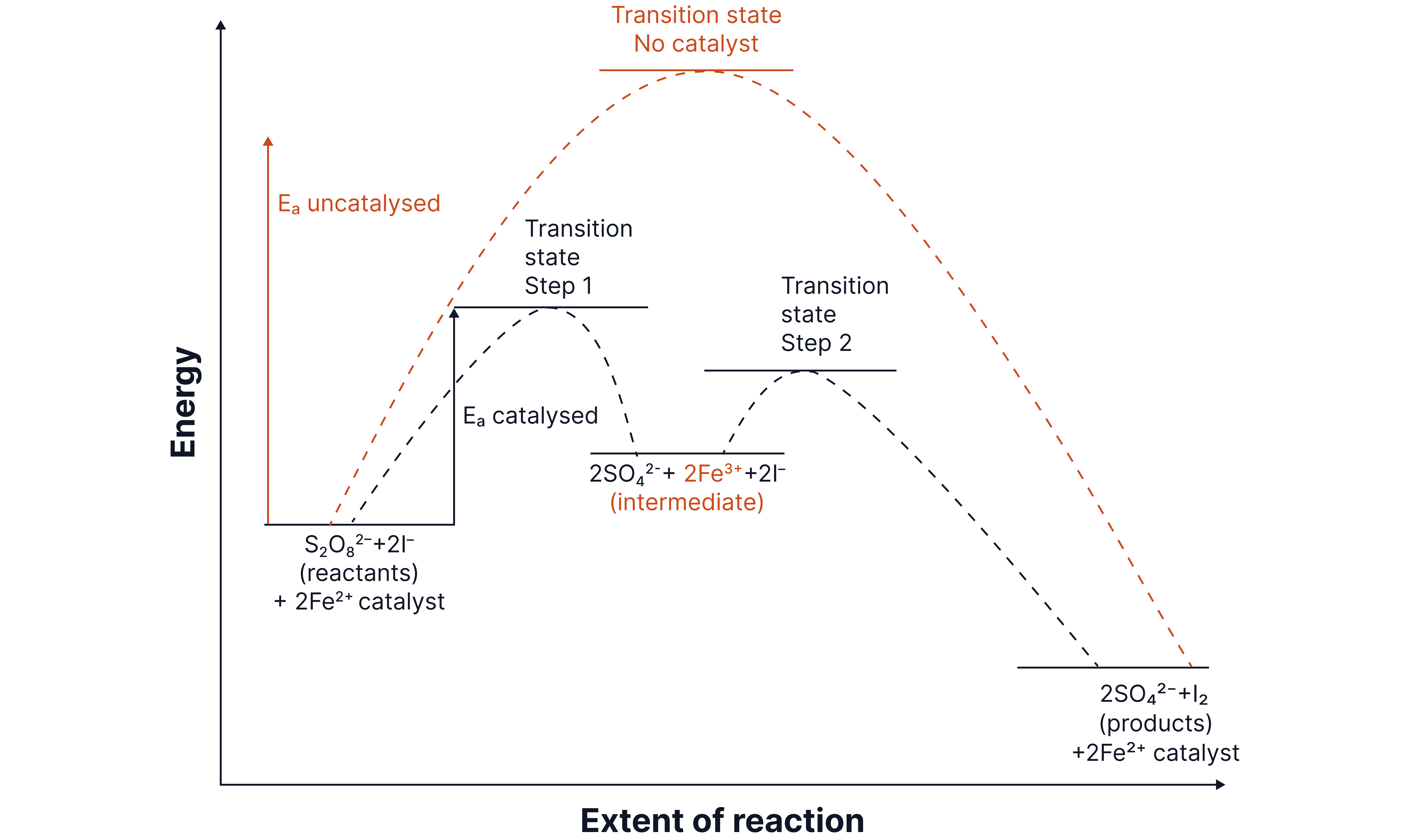 Reaction profile diagram comparing catalysed and uncatalysed pathways, showing how an Fe²⁺ catalyst provides an alternative two-step mechanism with lower activation energy for the reaction between S₂O₈²⁻ and I⁻ ions.
