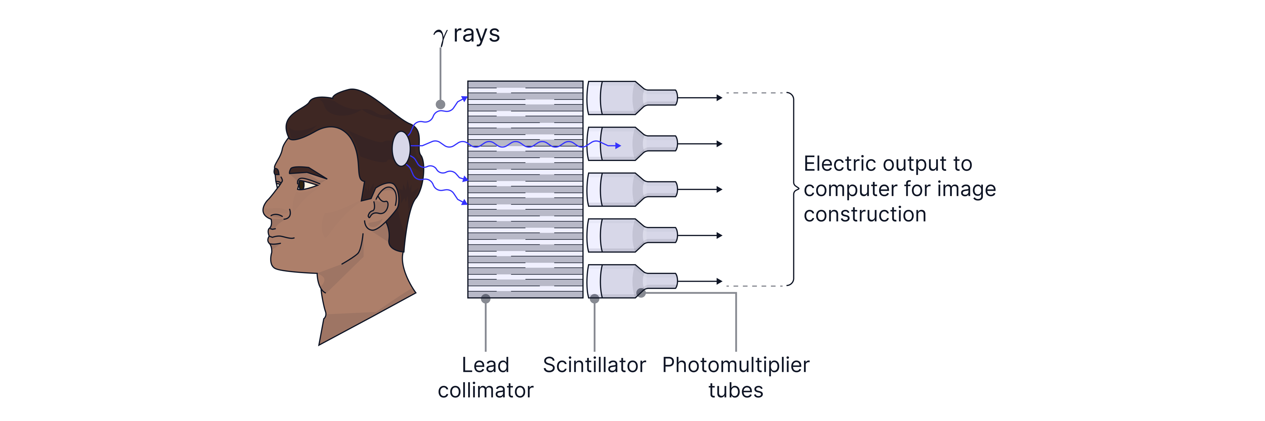 L1 S3