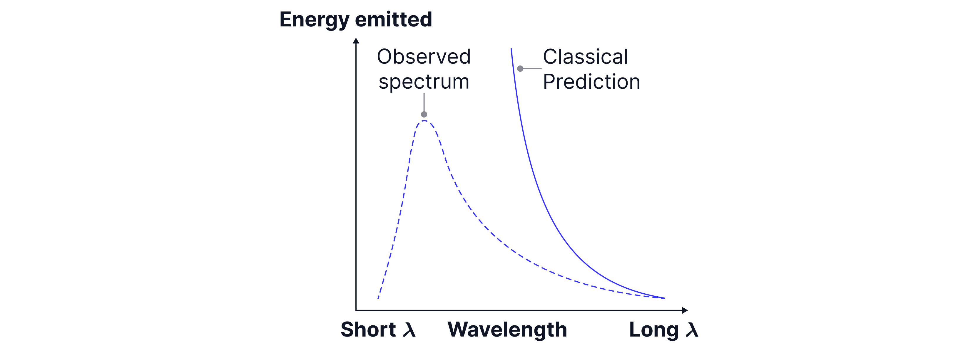 L1 S3 (4)