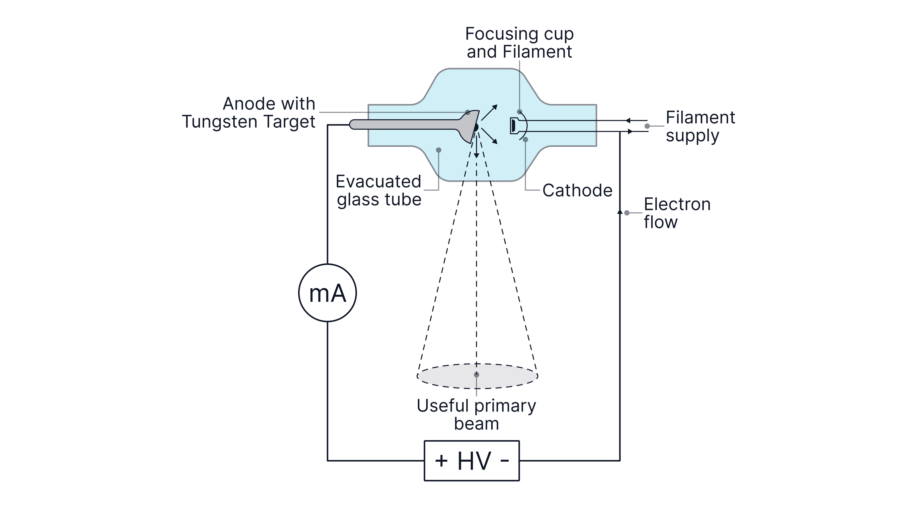 L4 S1