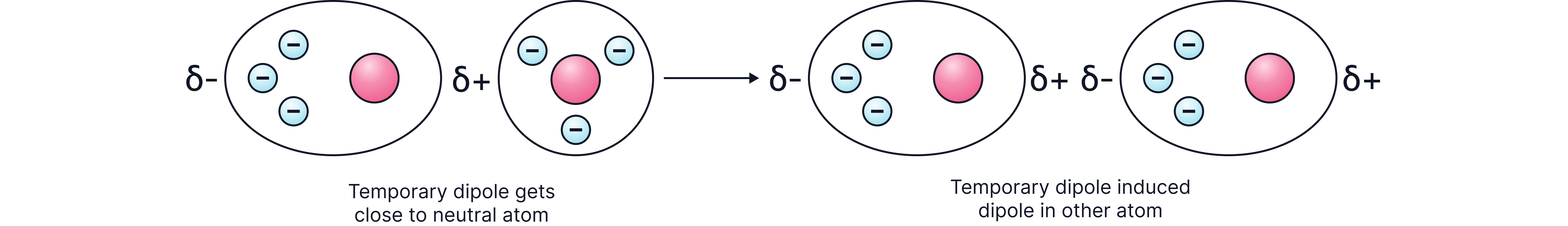 Diagram showing how a temporary dipole in one atom induces a dipole in a neighbouring atom, illustrating the formation of London dispersion forces between non-polar particles.