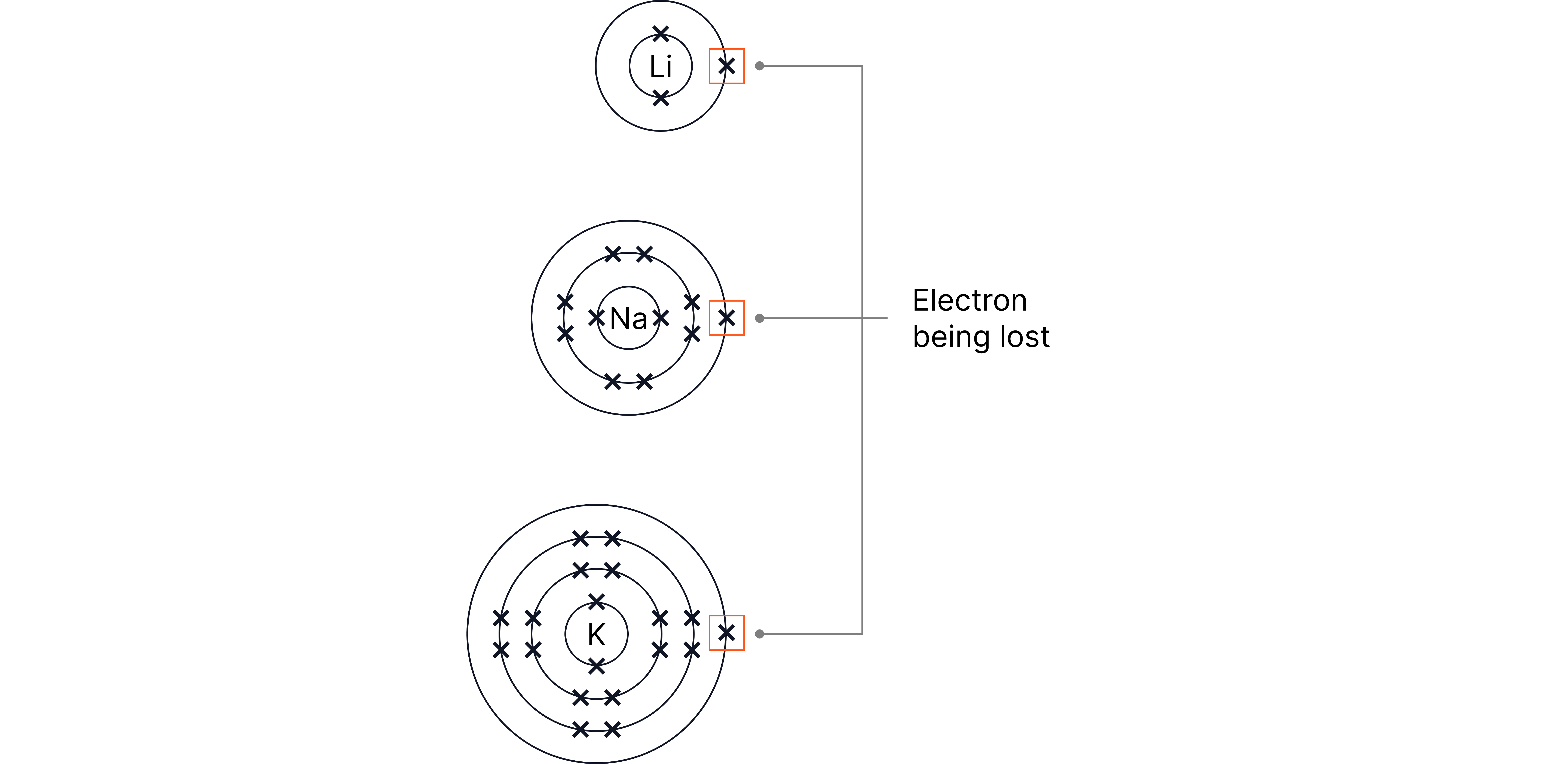 Bohr diagrams of three Group 1 atoms showing one electron in the outer shell highlighted in each, illustrating that alkali metals all have a single outer-shell electron.