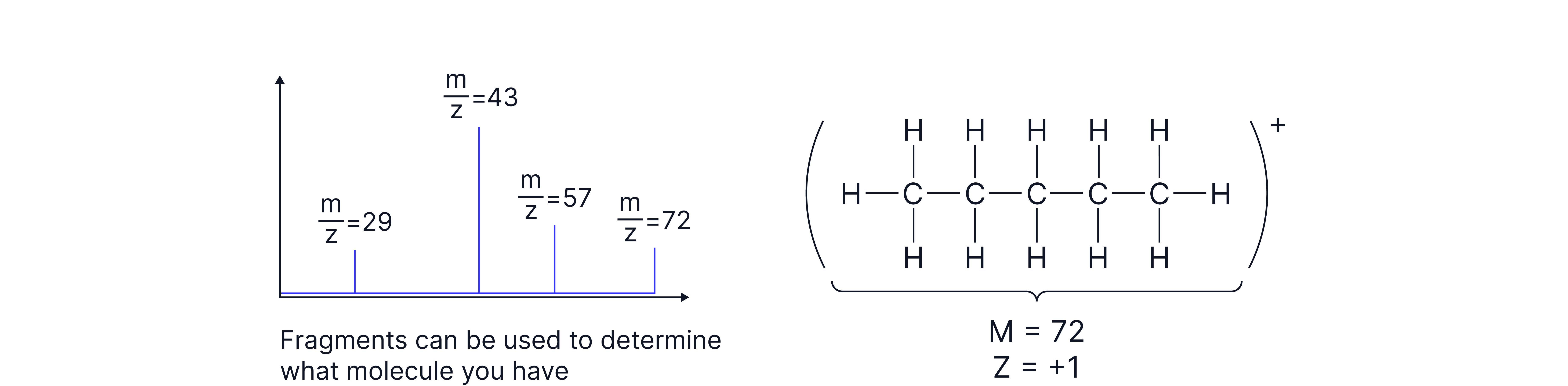 Mass spectrum of pentane showing fragment peaks at different m/z values and a molecular ion peak at m/z = 72 used to identify the molecule.