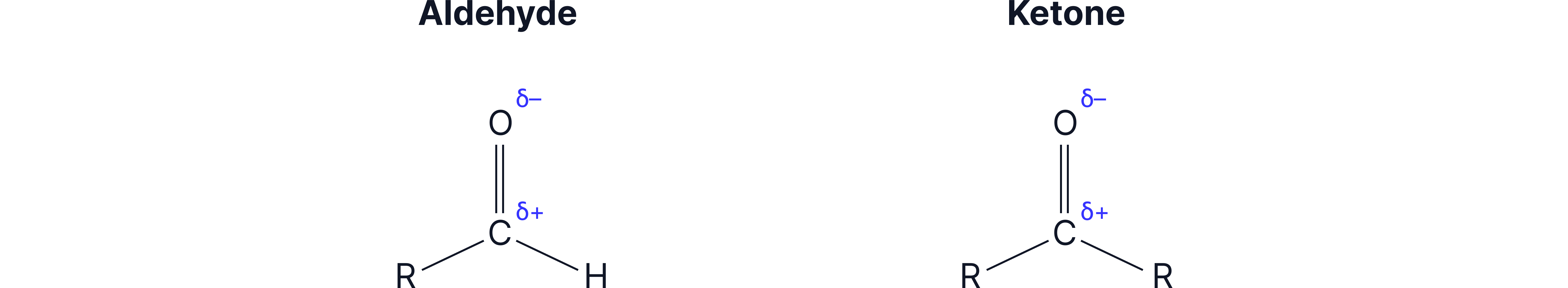 Diagram comparing aldehydes and ketones, showing the polar carbonyl group with a partially positive carbon and partially negative oxygen in both functional groups.