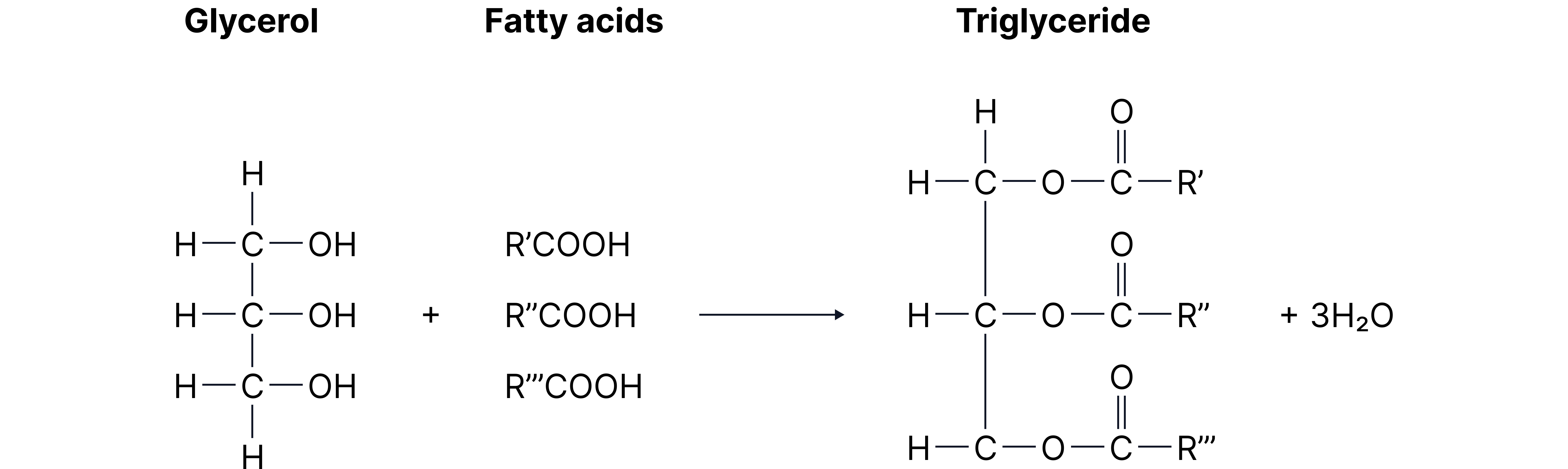 Diagram showing the nitration of benzene to form nitrobenzene, where one hydrogen atom on the benzene ring is replaced by an NO₂ group.