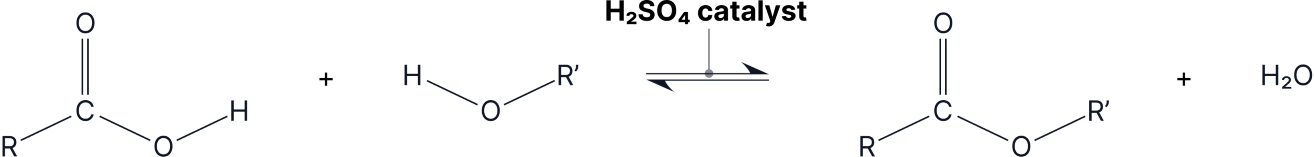 Diagram showing esterification where a carboxylic acid reacts with an alcohol to form an ester and water in a reversible condensation reaction.