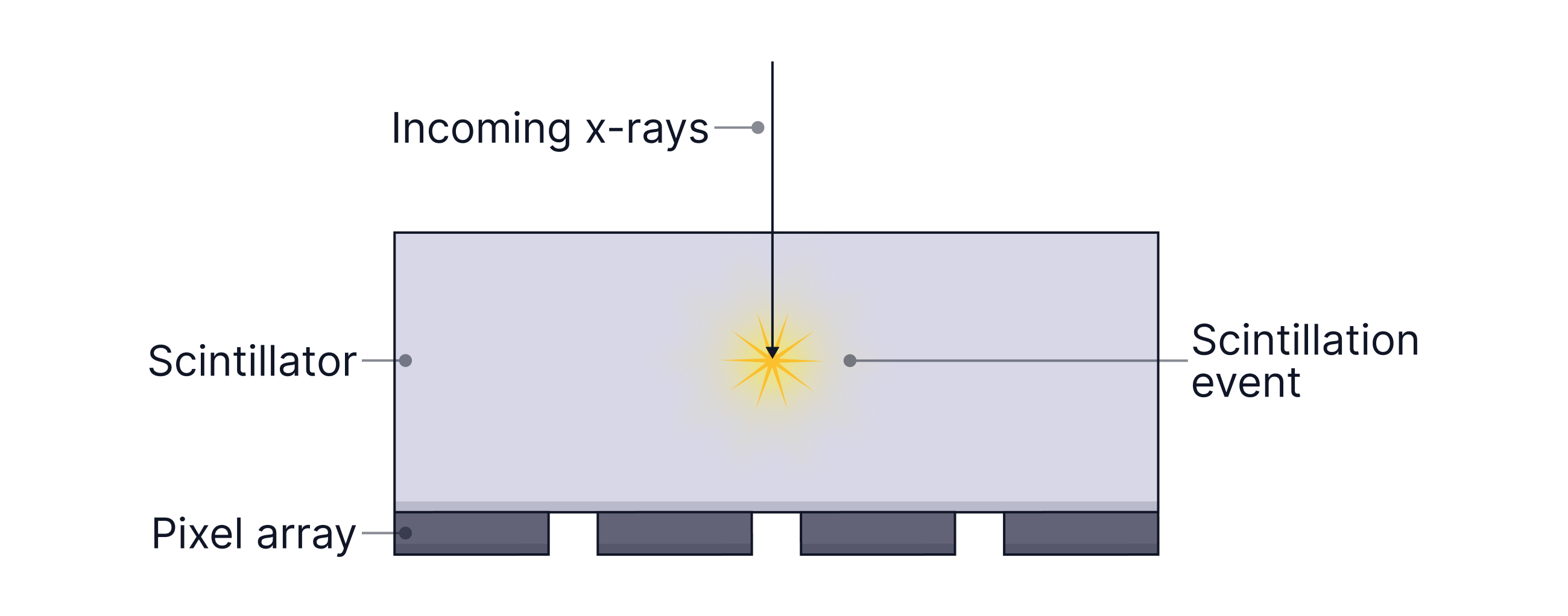 L4 S1 (4)