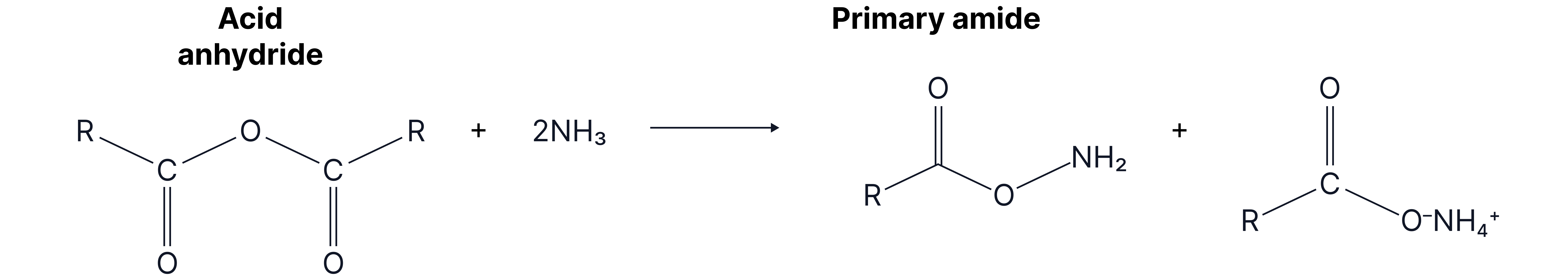 Reaction scheme showing an acid anhydride reacting with ammonia to form an amide and an ammonium carboxylate salt.