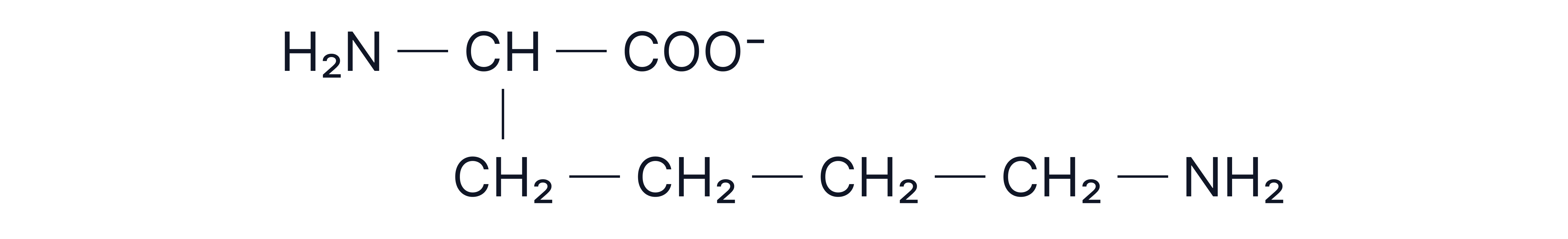 Amino Acids 7 (2)