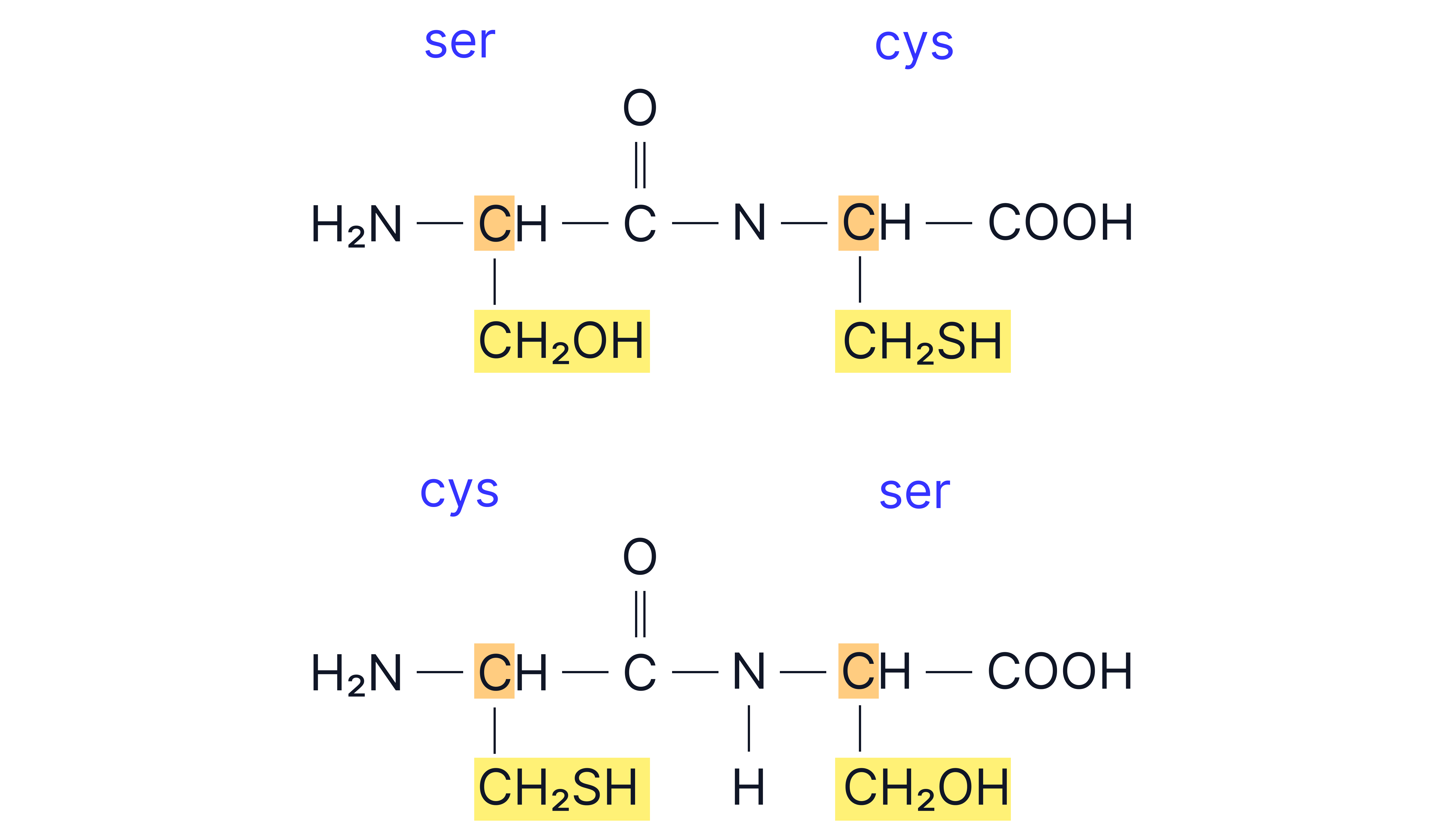 Amino Acids 8 (2)