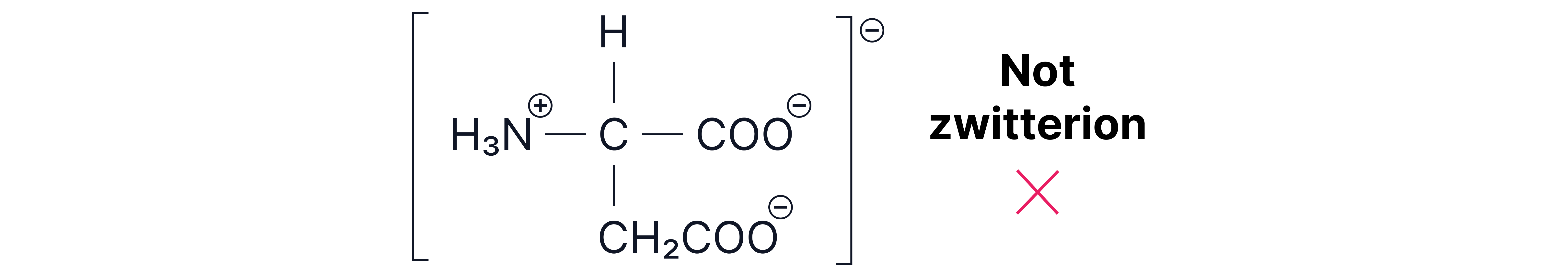 Amino Acids 3