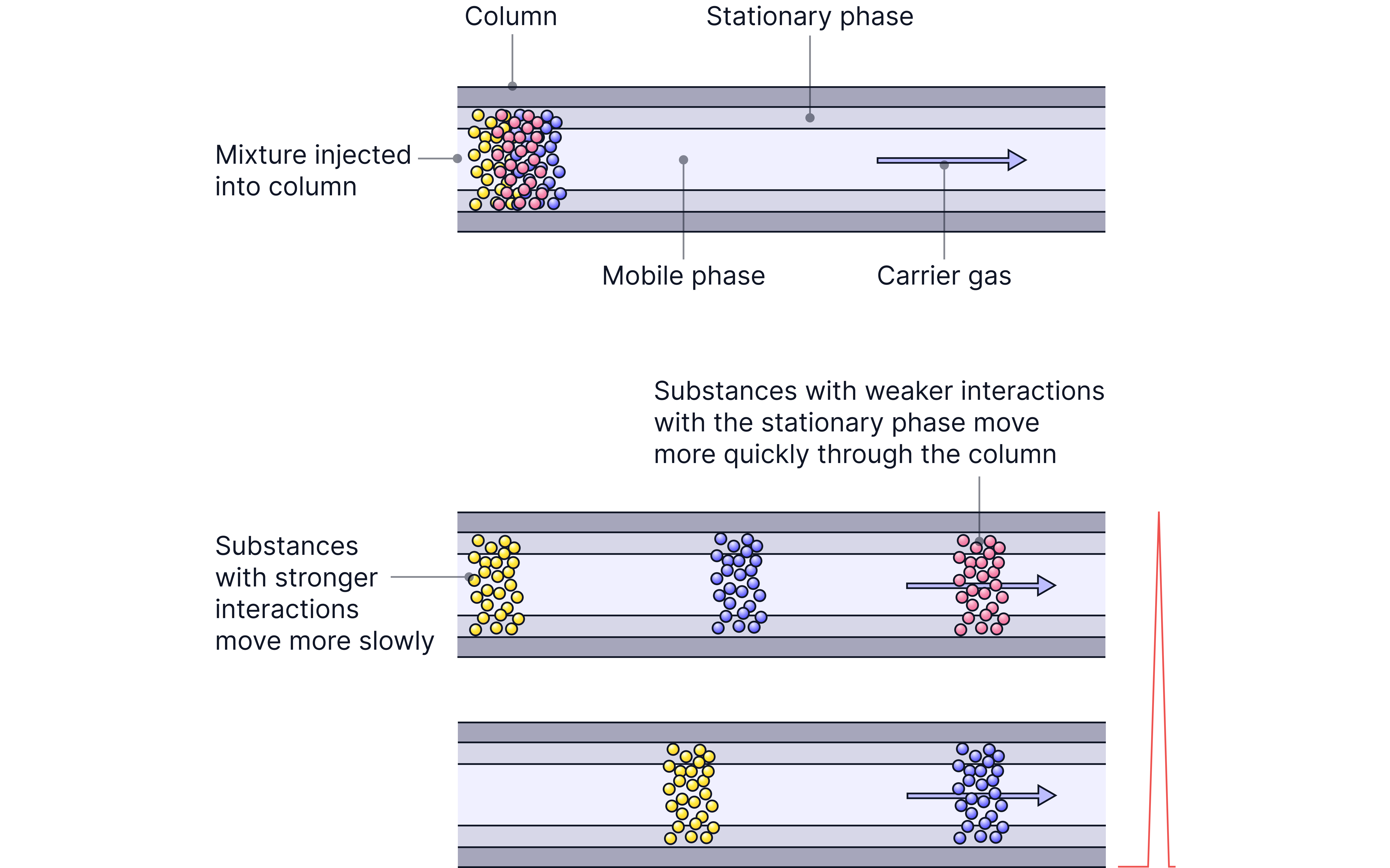 N1 - 2026-01-16T003130.898