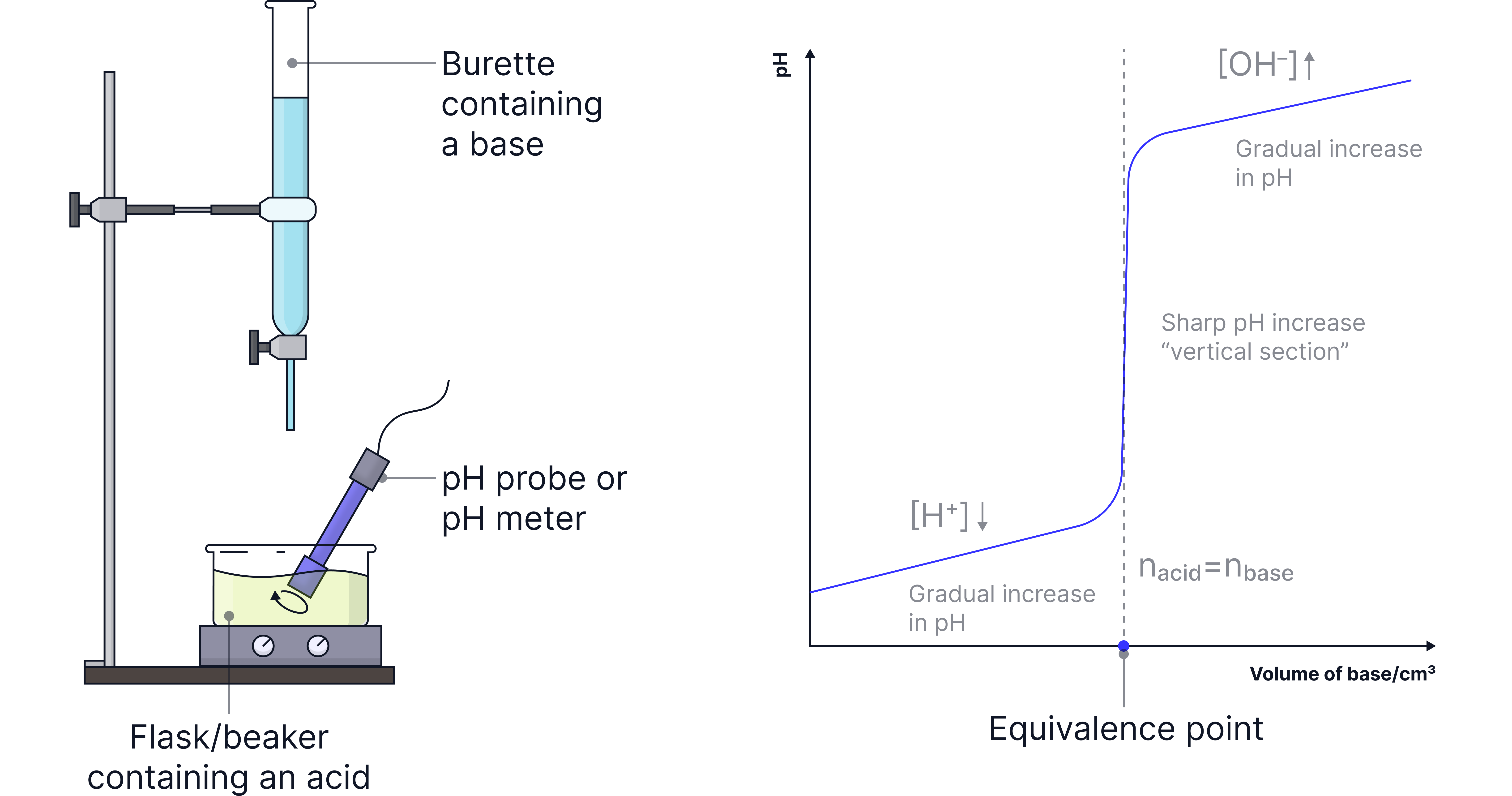 Acid–Base Titration Curve Chemistry revision diagram showing an acid–base titration setup with a burette and pH probe alongside a titration curve highlighting the gradual pH increase and sharp vertical section at the equivalence point.