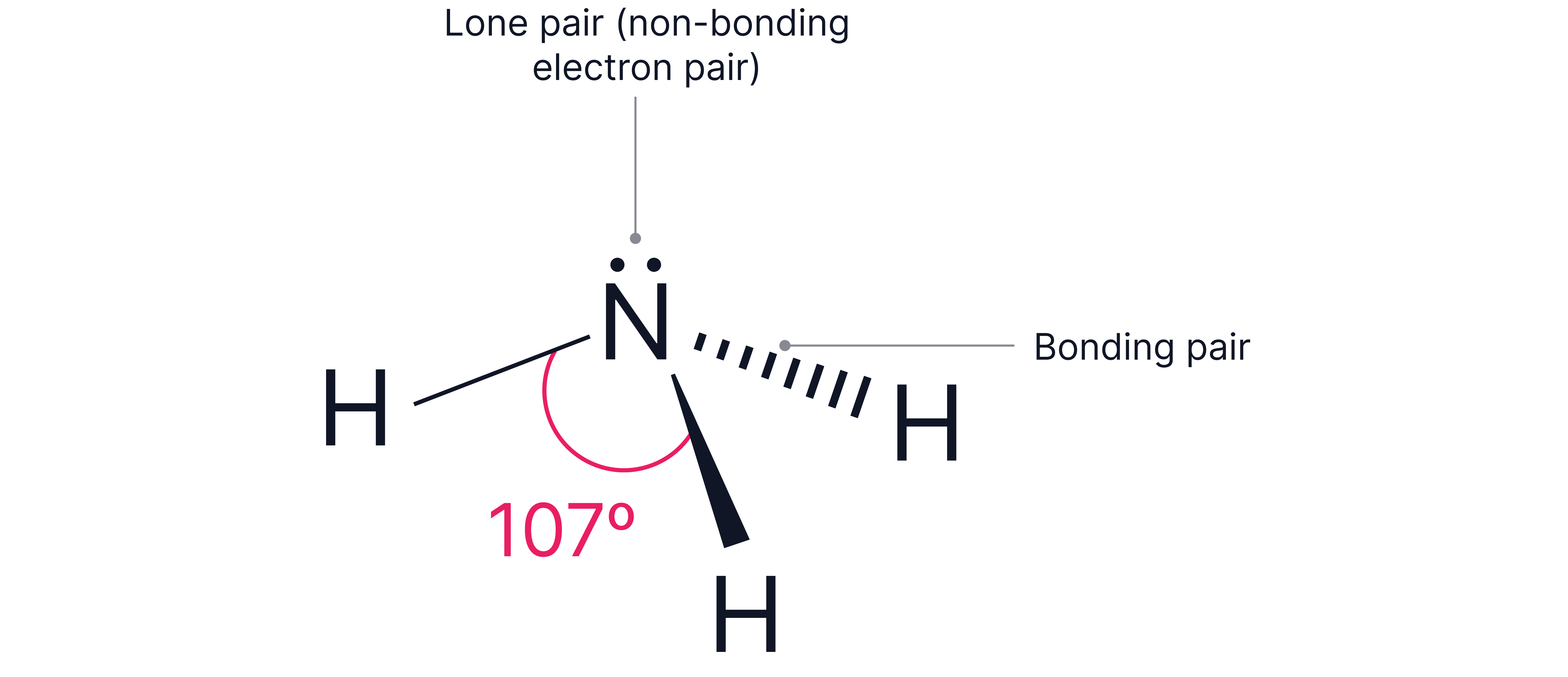 Diagram showing the trigonal pyramidal structure of ammonia with a lone pair of electrons and a bond angle of 107 degrees between hydrogen atoms.