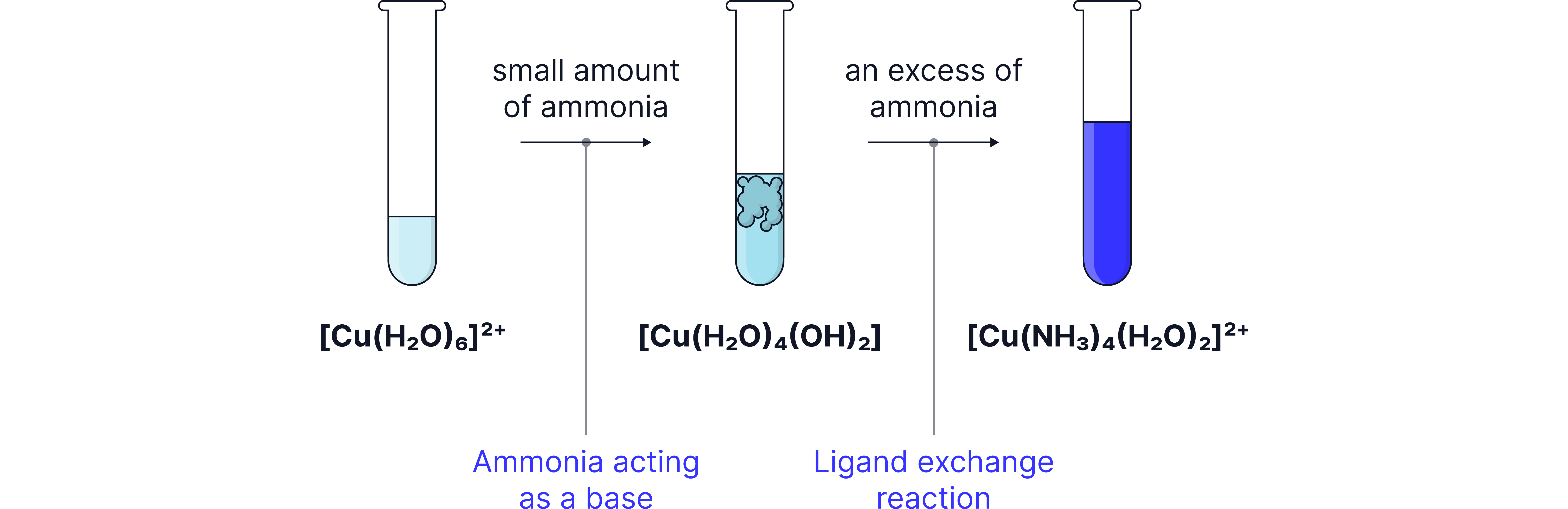 Ammonia Ligand Exchange Reaction Chemistry revision diagram showing ammonia first forming a pale blue precipitate with copper ions before excess ammonia causes a ligand exchange reaction to produce a deep blue solution.