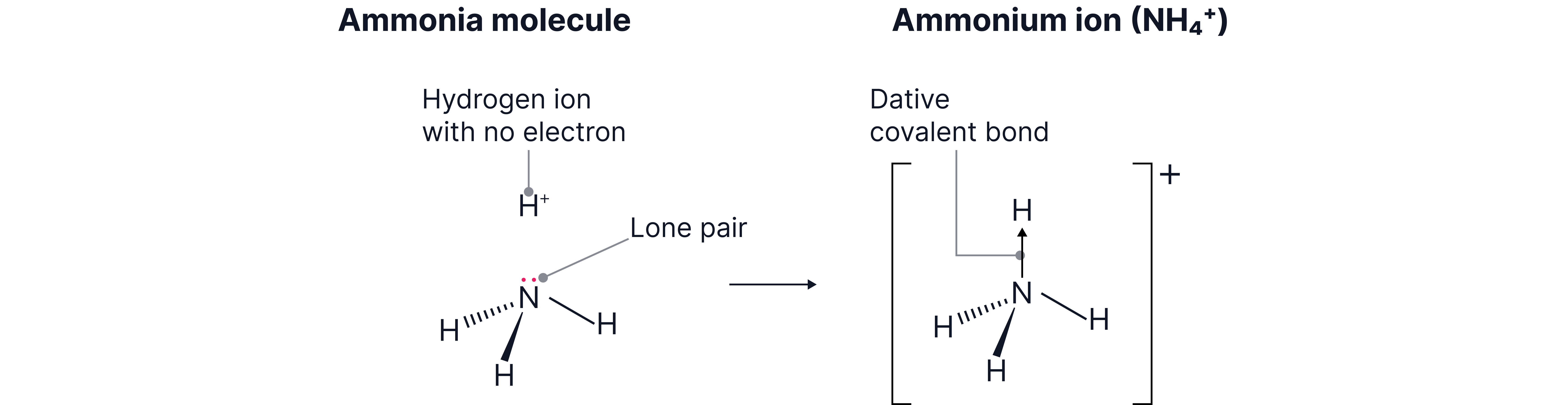 Ammonium ion Ammonium ion