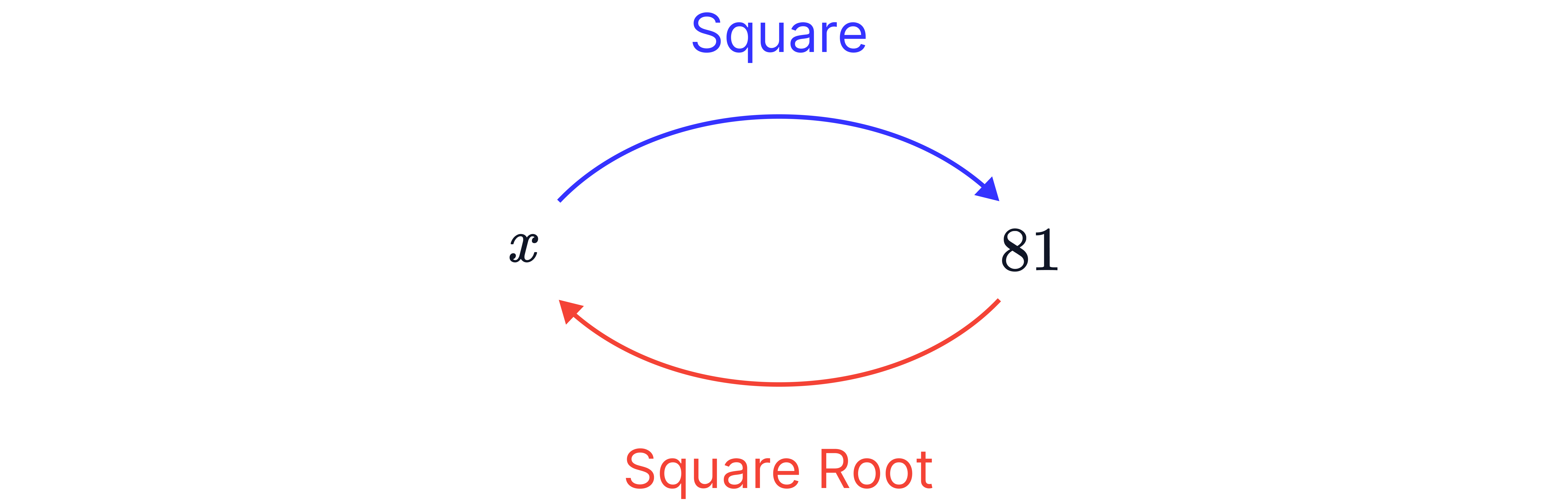 Two curved arrows between x and 81, one labelled Square going from x to 81 and one labelled Square Root returning from 81 to x, showing that squaring is undone by square rooting.