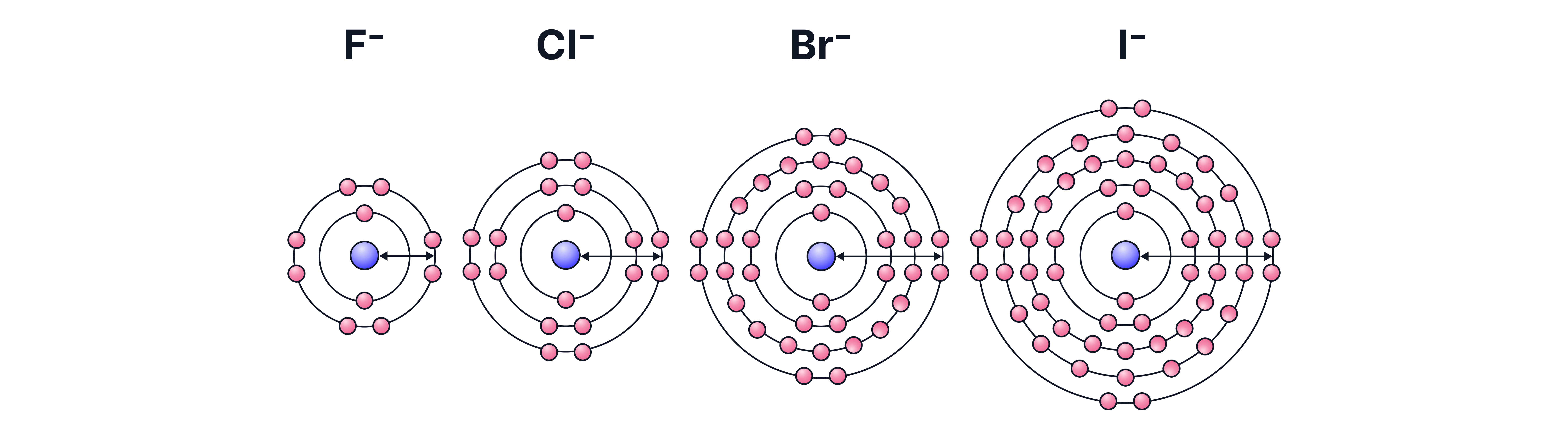 A-Level Chemistry revision diagram showing the electron configurations and increasing number of occupied shells for F⁻, Cl⁻, Br⁻ and I⁻ ions, illustrating increasing ionic radius down Group 7.