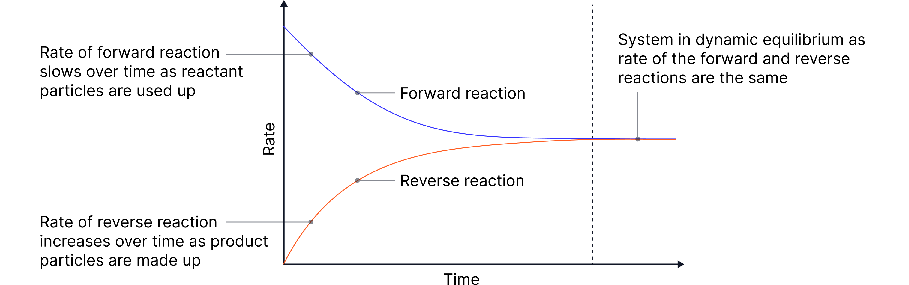 Chemical Equilibria
