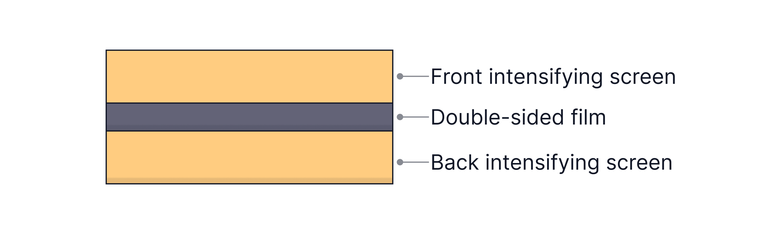 L4 S1 (3)