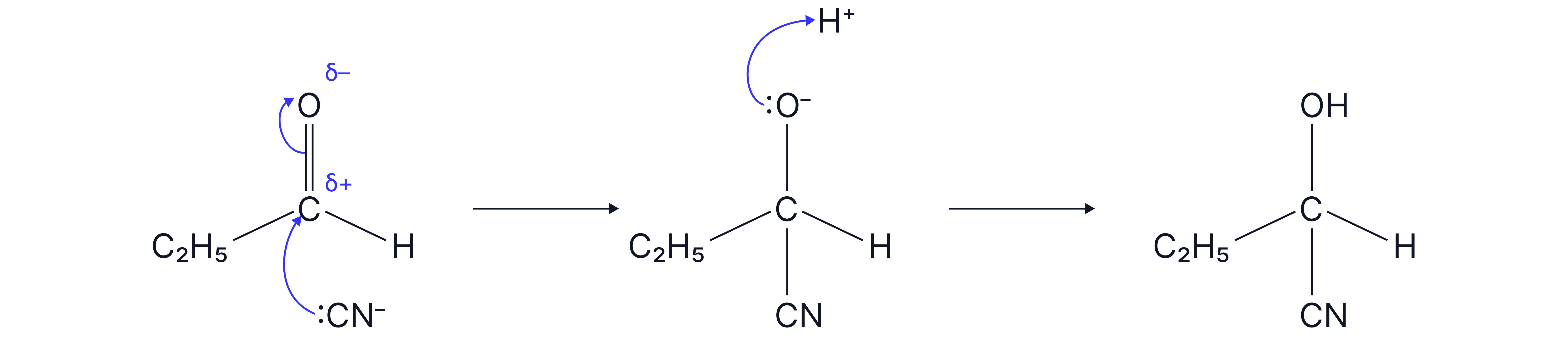 Nucleophilic Addition.