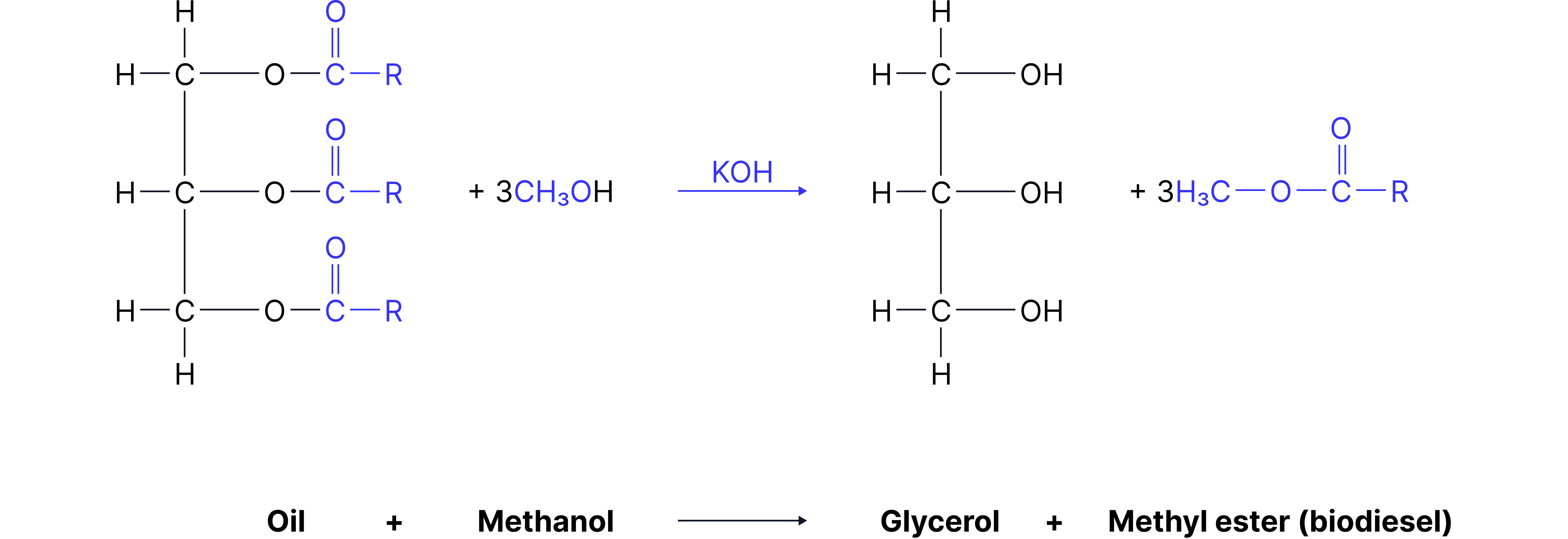 Diagram showing the conversion of a triglyceride into biodiesel by transesterification with methanol (CH₃OH) using KOH catalyst to produce methyl esters and glycerol.