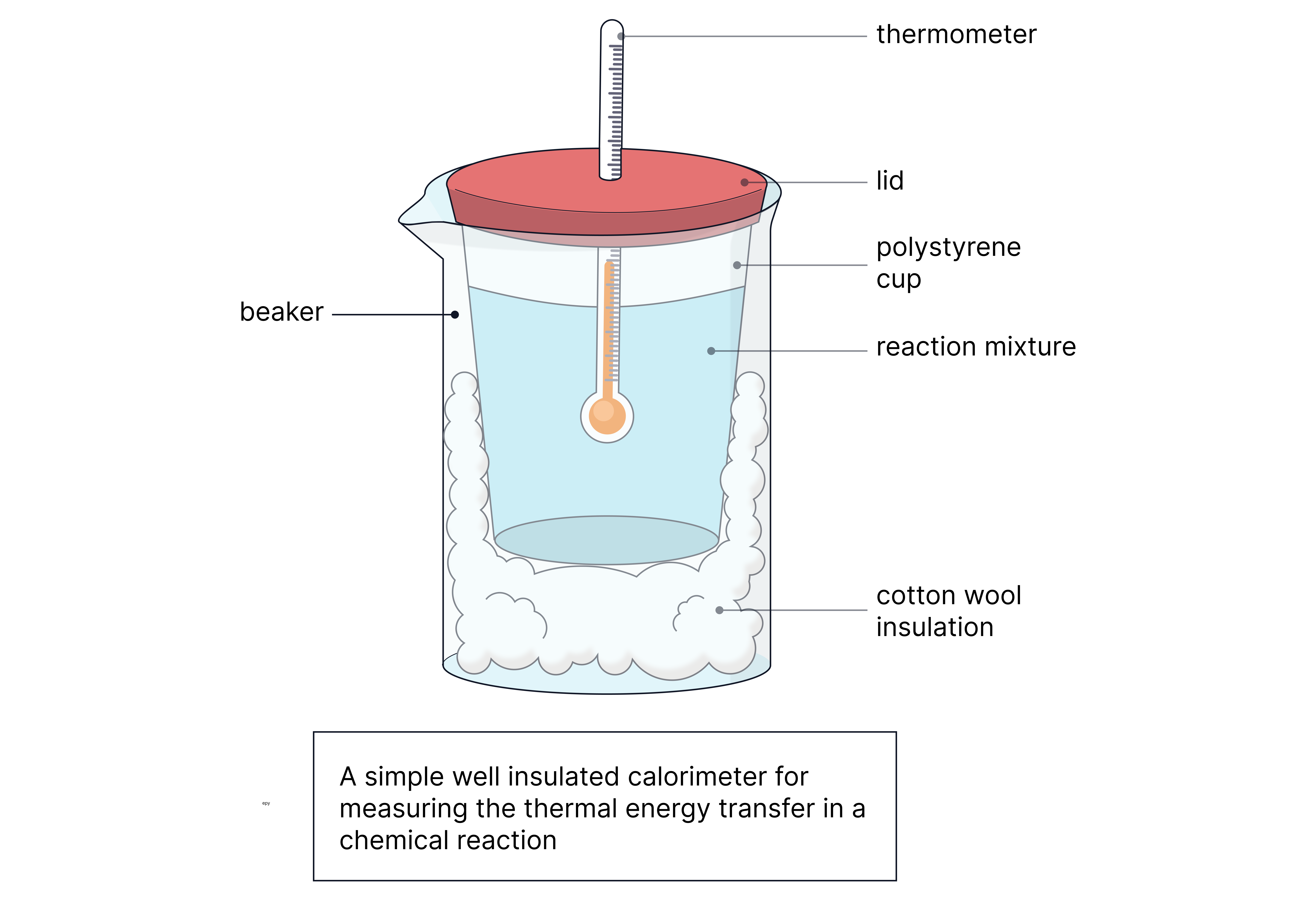 Polystyrene Cup Calorimetry (Solution Reactions)
