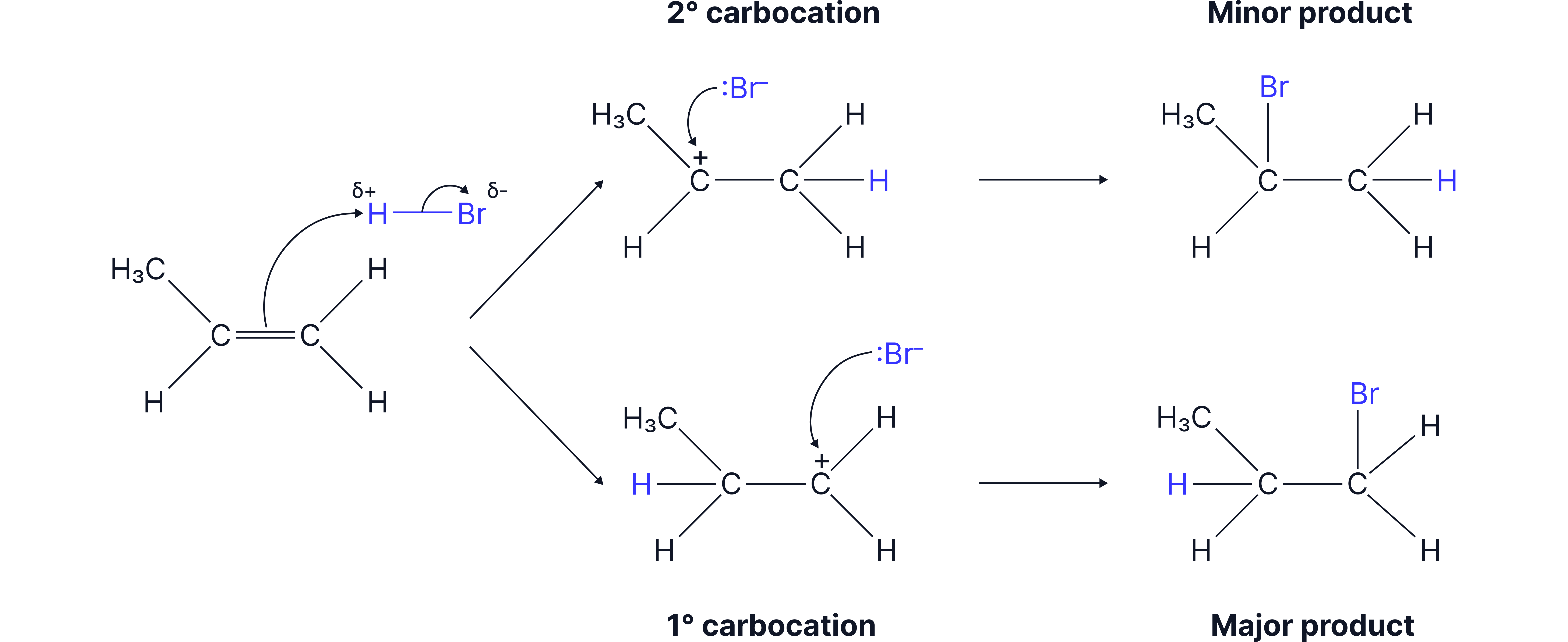 Electrophilic Addition and Carbocation Stability Reaction mechanism diagram showing electrophilic addition of HBr to propene, forming primary and secondary carbocations that produce major and minor bromoalkane products.