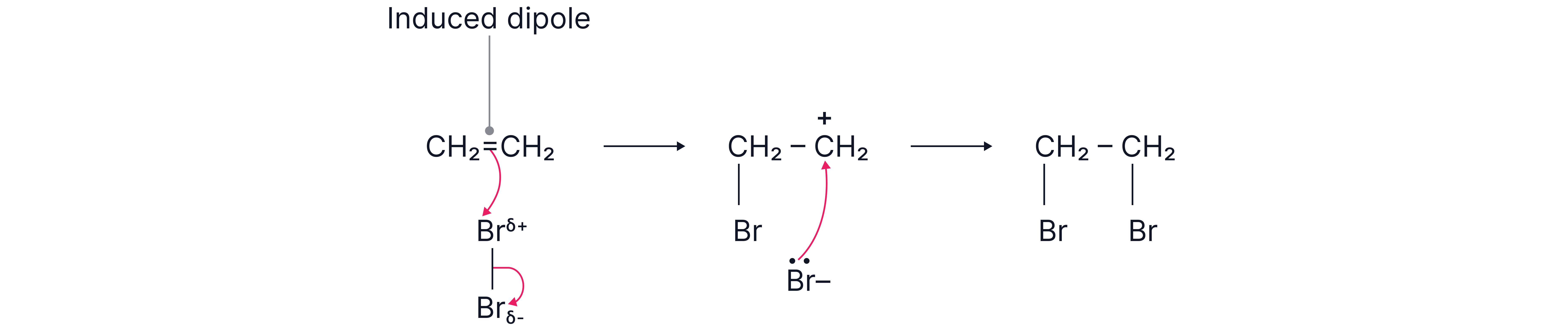 Electrophilic Addition of Bromine to Ethene Sequence diagram showing electrophilic addition where bromine is polarised by the double bond in ethene and forms dibromoethane in a chemistry revision note.