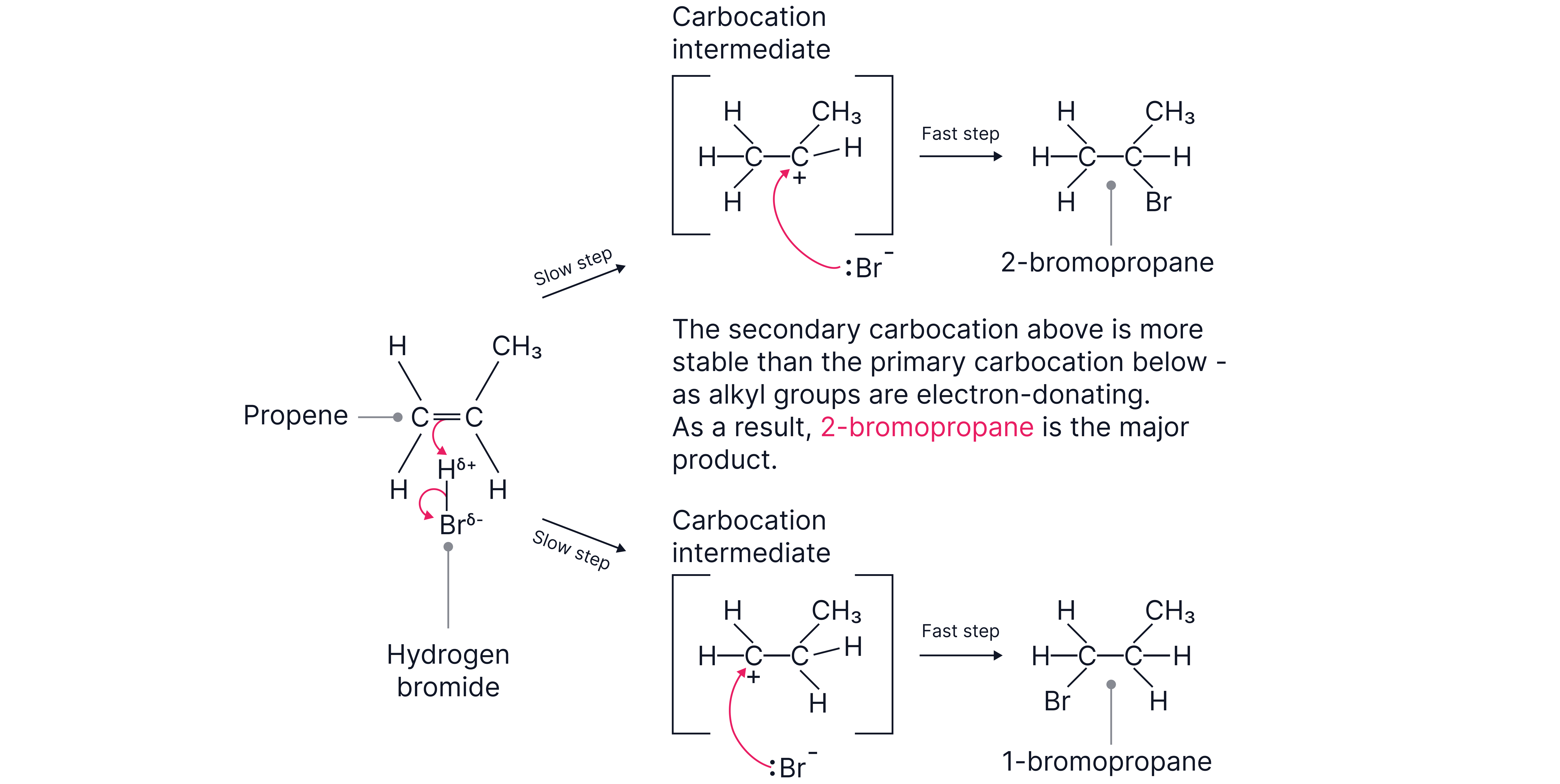 Electrophilic Addition of Hydrogen Bromide to Propene Sequence diagram showing electrophilic addition of hydrogen bromide to propene forming carbocation intermediates and producing mainly 2-bromopropane in a chemistry revision note.