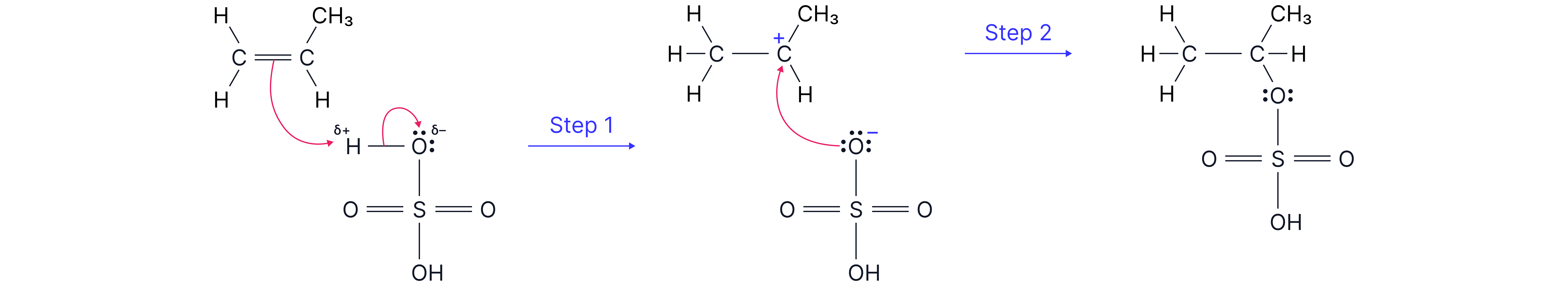 Electrophilic Addition of Sulfuric Acid to an Alkene Sequence diagram showing electrophilic addition where sulfuric acid reacts with an alkene to form an alkyl hydrogensulfate intermediate in a chemistry revision note.