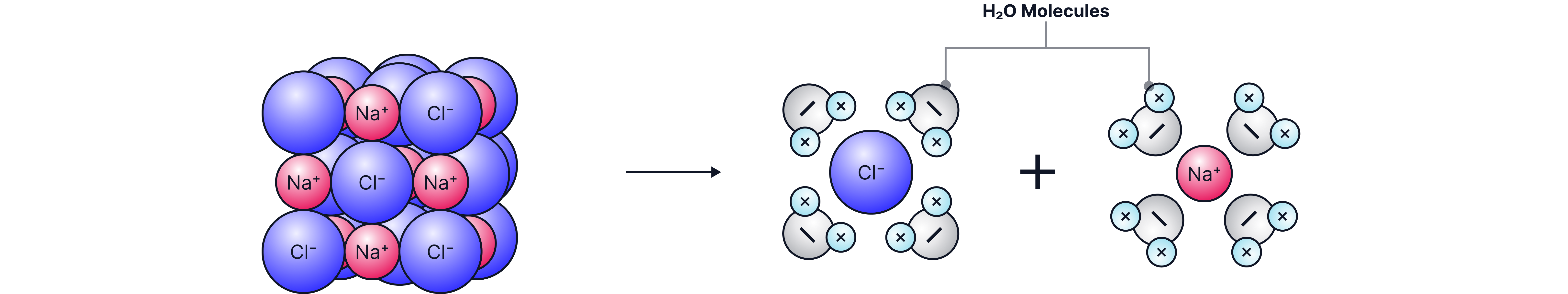 A-Level Chemistry revision diagram showing sodium chloride dissolving, with Na⁺ and Cl⁻ ions separating from the ionic lattice and becoming surrounded by polar water molecules in hydration shells.