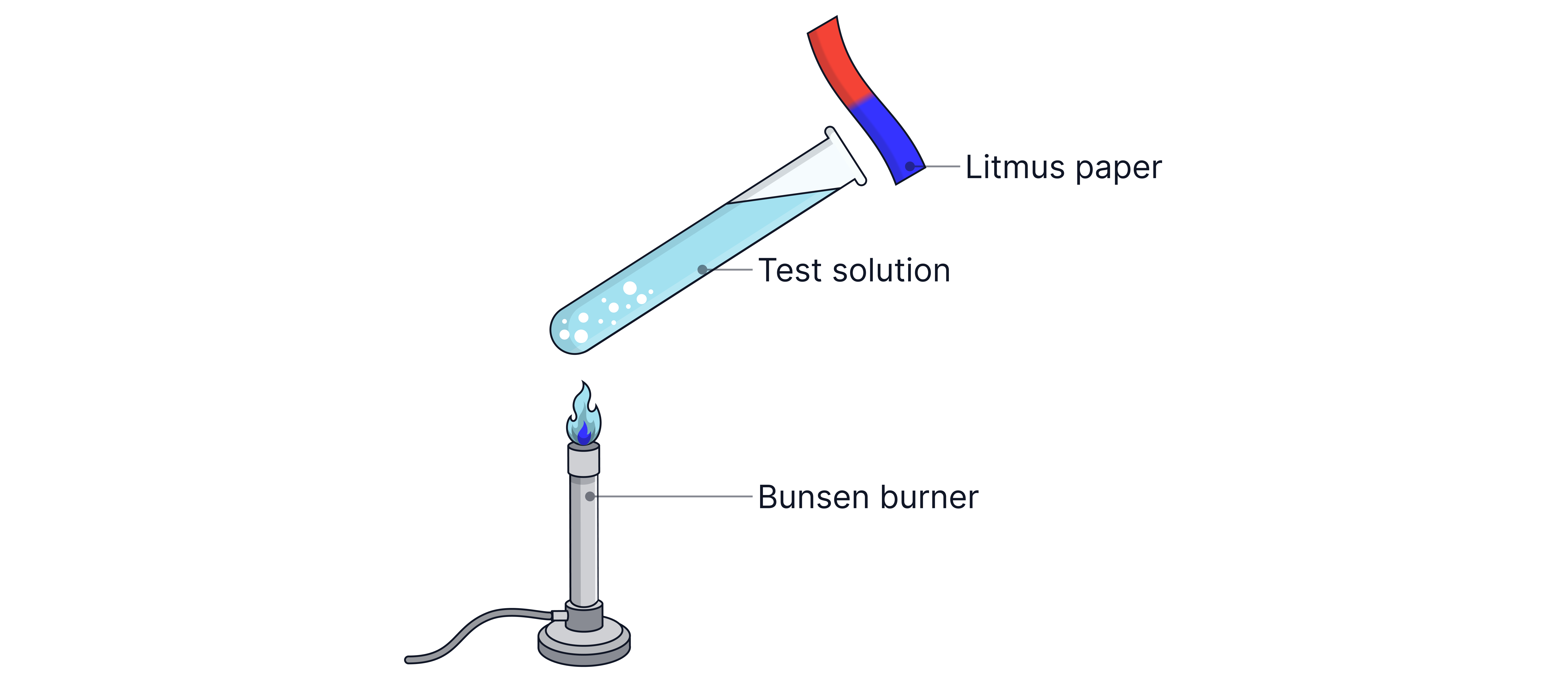 Heating a Test Solution with Litmus Paper Chemistry revision note showing a test solution being heated with a Bunsen burner while damp litmus paper is used to test the gas produced.