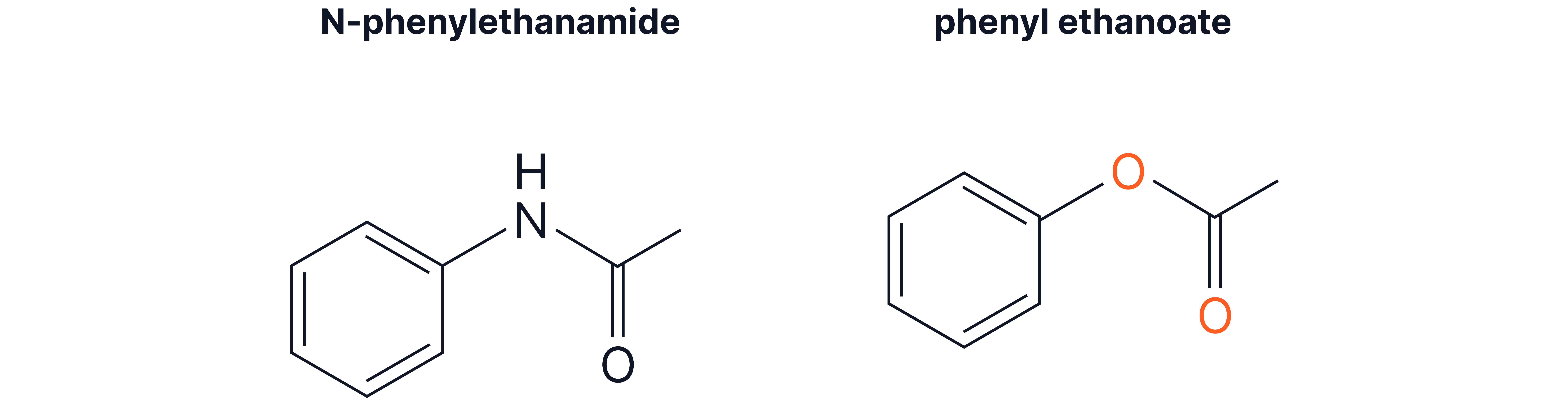 Structures of N-Phenylethanamide and Phenyl Ethanoate Structural formulas of N-phenylethanamide and phenyl ethanoate showing a benzene ring bonded to amide and ester functional groups.