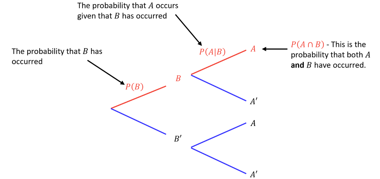 Probability Tree for 𝑃(𝐴∩𝐵) Using Conditional Probability A probability tree diagram shows event 𝐵 followed by event 𝐴 with branches labelled 𝑃(𝐵) and 𝑃(𝐴∣𝐵), illustrating that 𝑃(𝐴∩𝐵) is found by multiplying along the path.