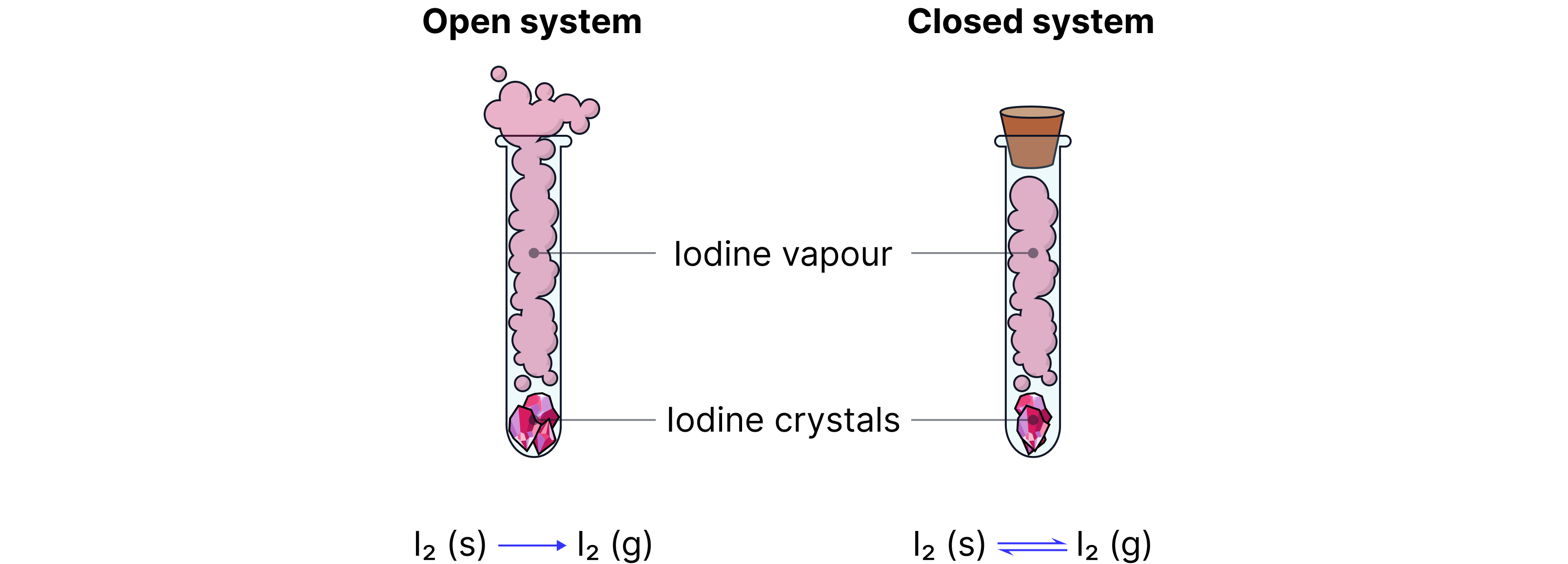 Reversible Reactions
