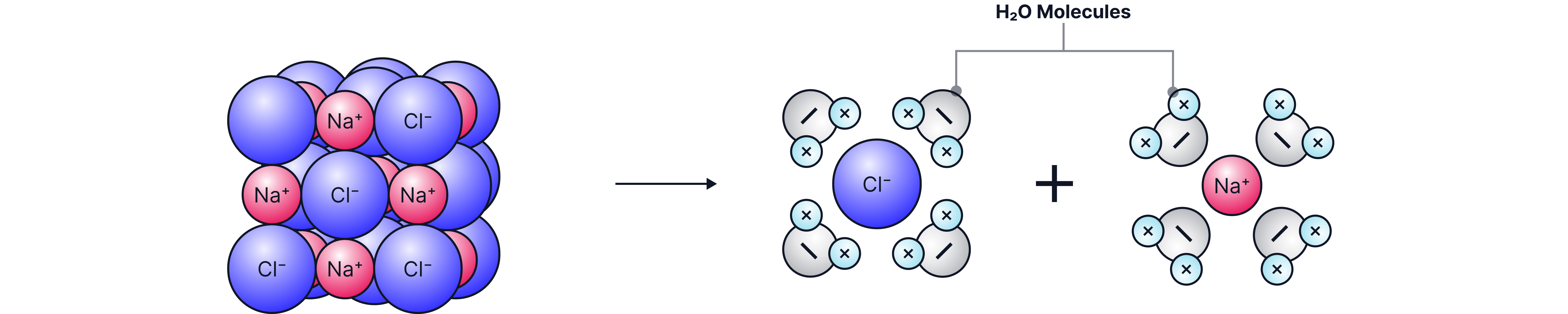 Chemistry revision note showing sodium chloride dissolving in water as water molecules surround and separate sodium and chloride ions from the ionic lattice.