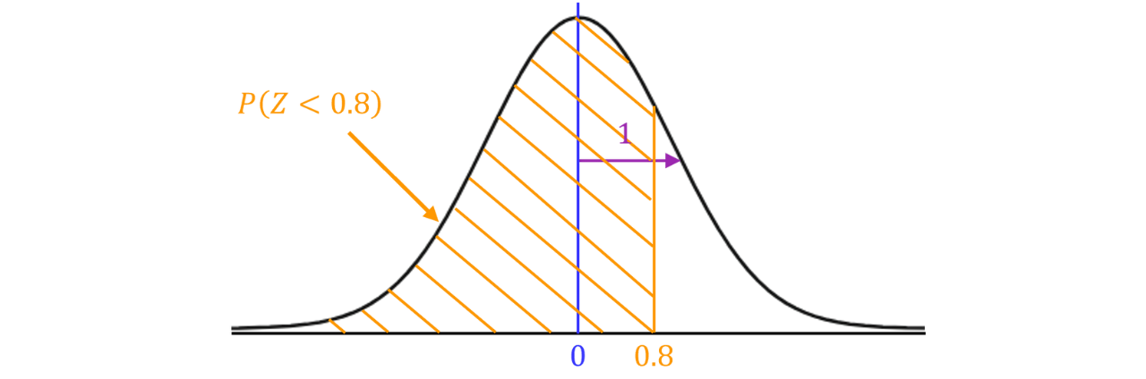 Standard Normal Distribution Showing 𝑃(𝑍<0.8) Standard normal curve with the area shaded to the left of 𝑧=0.8, representing the probability 𝑃(𝑍<0.8).