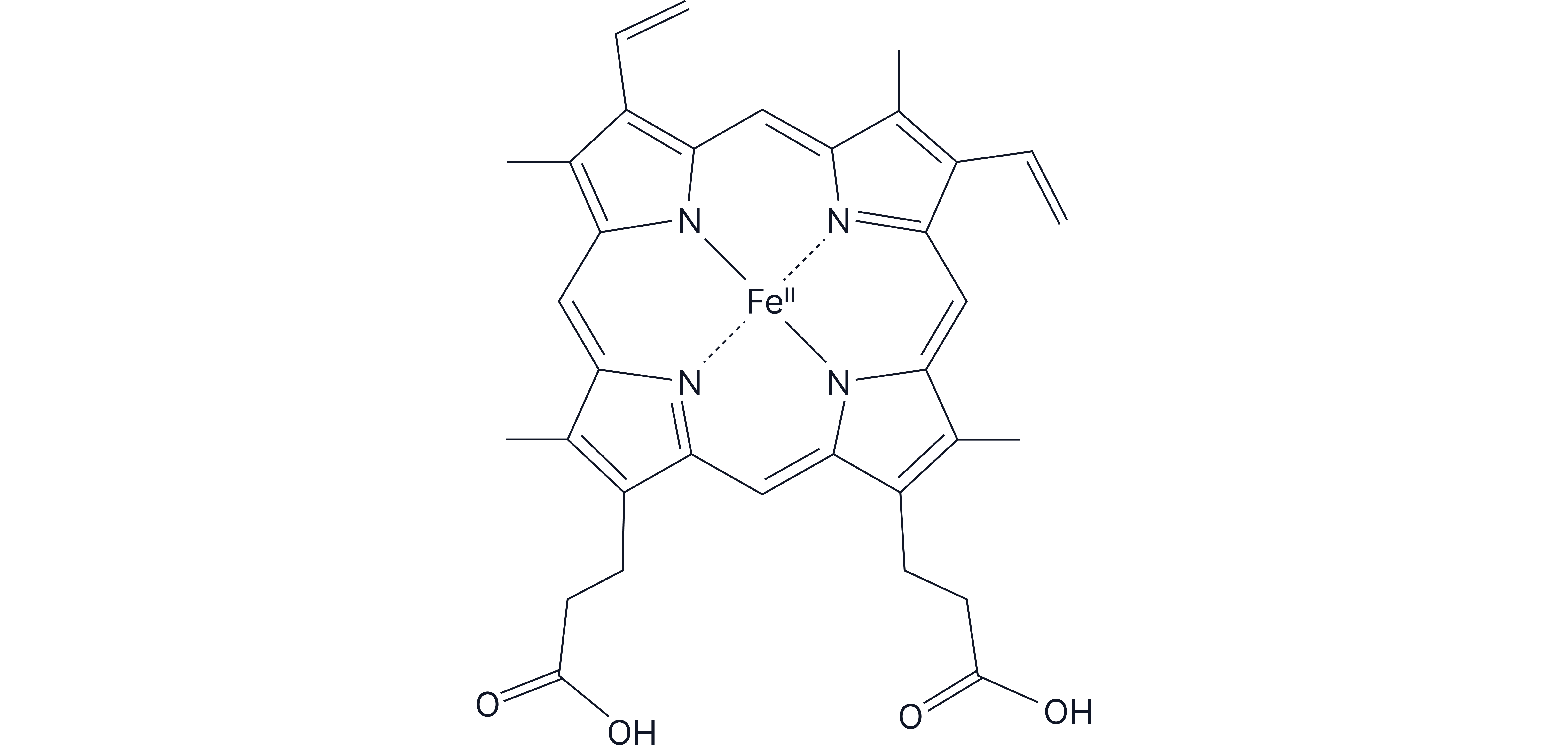Structure of Haem Structure of Haem