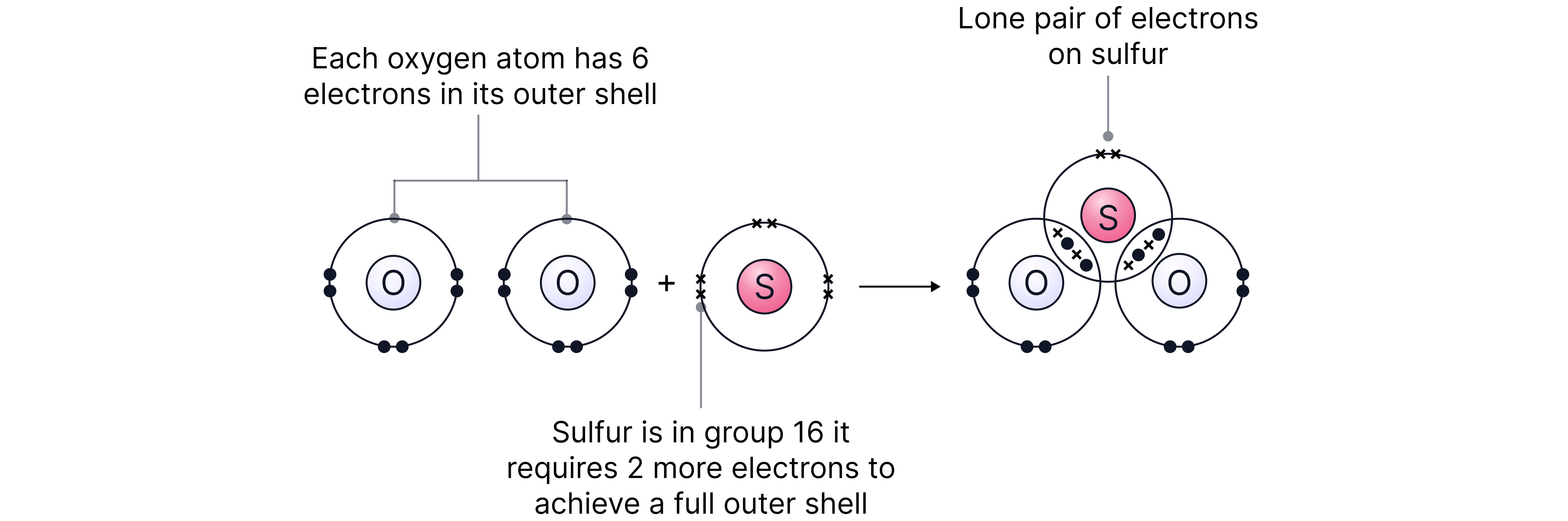 Dot and cross diagram showing the covalent bonding and shared electron pairs in a sulfur dioxide molecule.