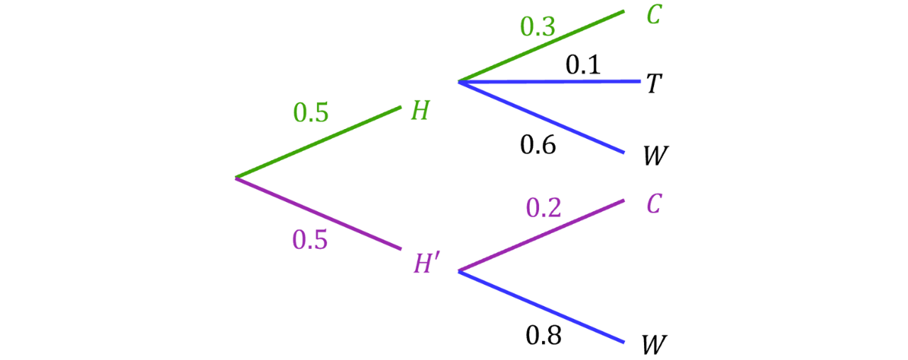 Two-Stage Probability Tree for 𝐻 and 𝐻′ with Outcomes 𝐶, 𝑇, and 𝑊 Probability tree showing the first split into 𝐻 and 𝐻′ each with probability 0.5, then outcomes 𝐶, 𝑇, 𝑊 from 𝐻 with probabilities 0.3, 0.1, 0.6 and outcomes 𝐶,𝑊 from 𝐻′ with probabilities 0.2, 0.8.
