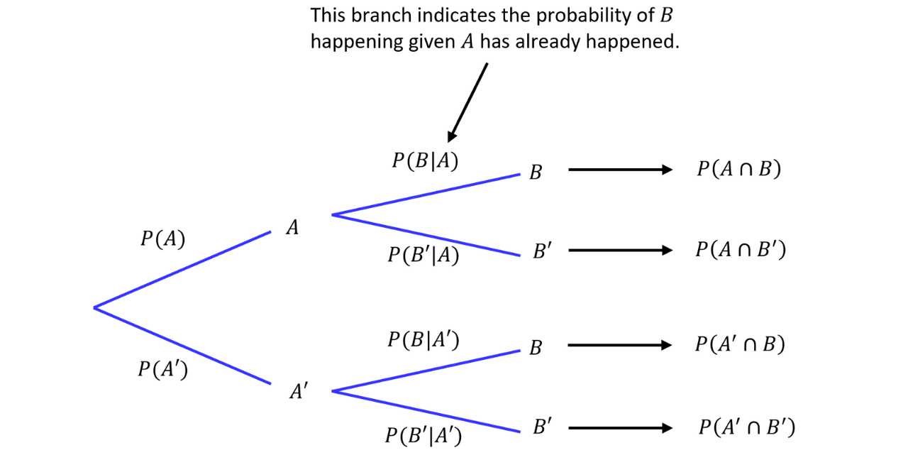 Unlabelled Two-Stage Probability Tree Diagram Blank probability tree diagram showing one initial split into two outcomes, with each outcome splitting again into two branches.