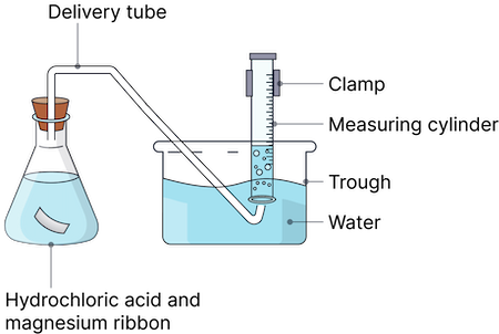 Diagram of an experiment where hydrogen gas from the reaction between hydrochloric acid and magnesium ribbon in a conical flask is collected over water in an inverted measuring cylinder via a delivery tube.