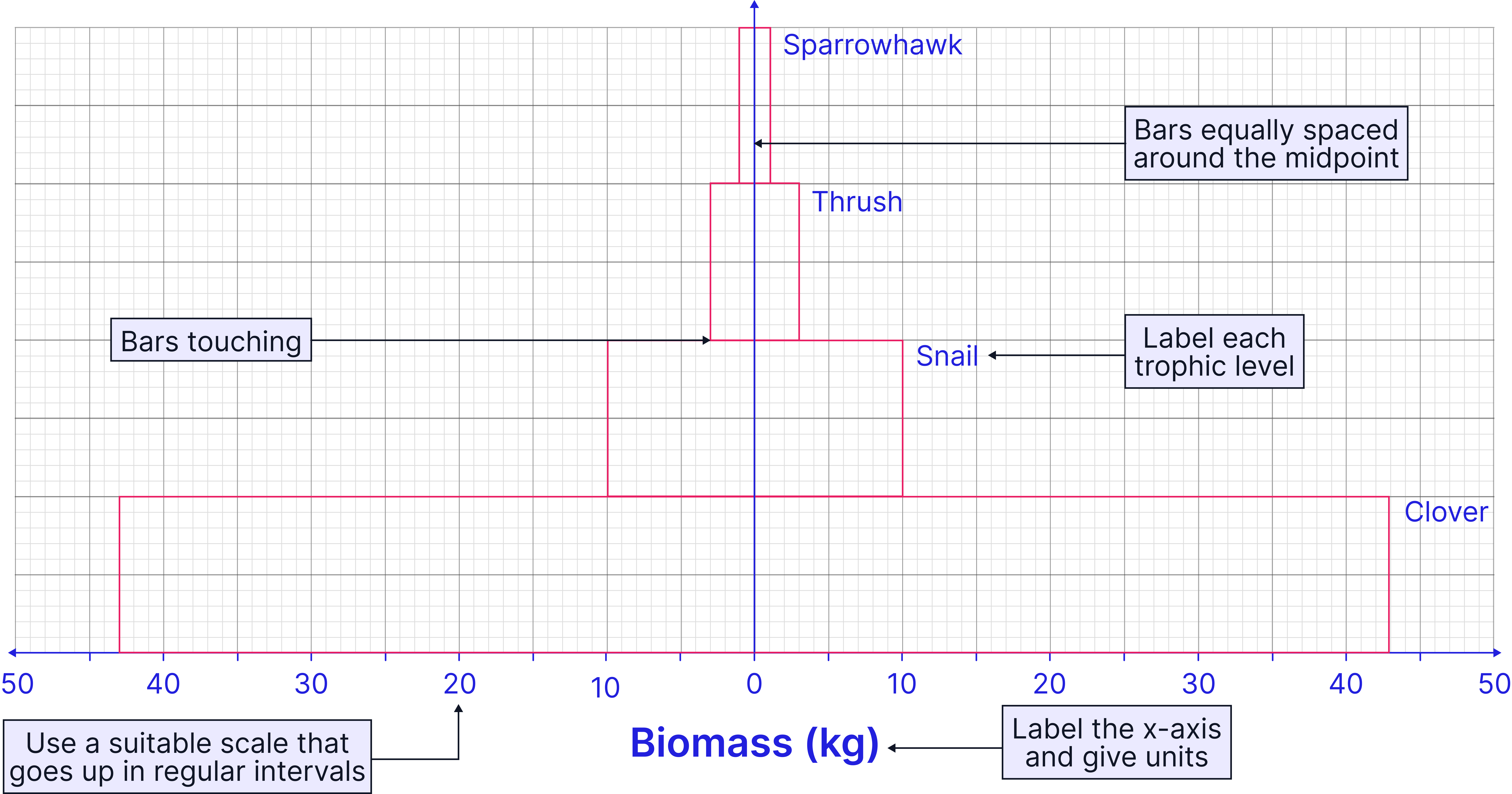 Diagram showing a pyramid of biomass for a food chain, with clover at the base followed by snail, thrush, and sparrowhawk, illustrating decreasing biomass at higher trophic levels.