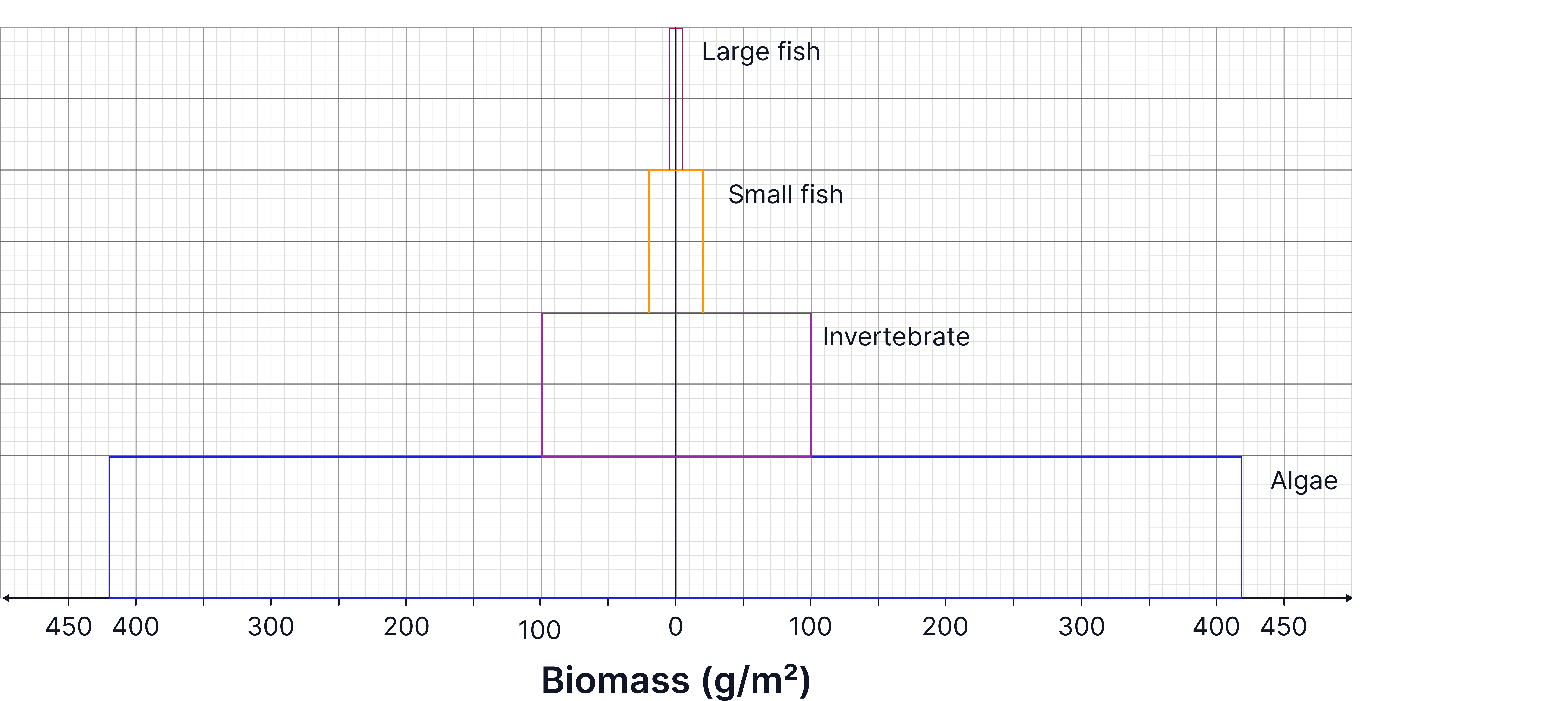 Pyramid of biomass showing algae at the base with the greatest biomass, followed by invertebrate animals, small fish, and large fish with decreasing biomass measured in g/m&sup2;.